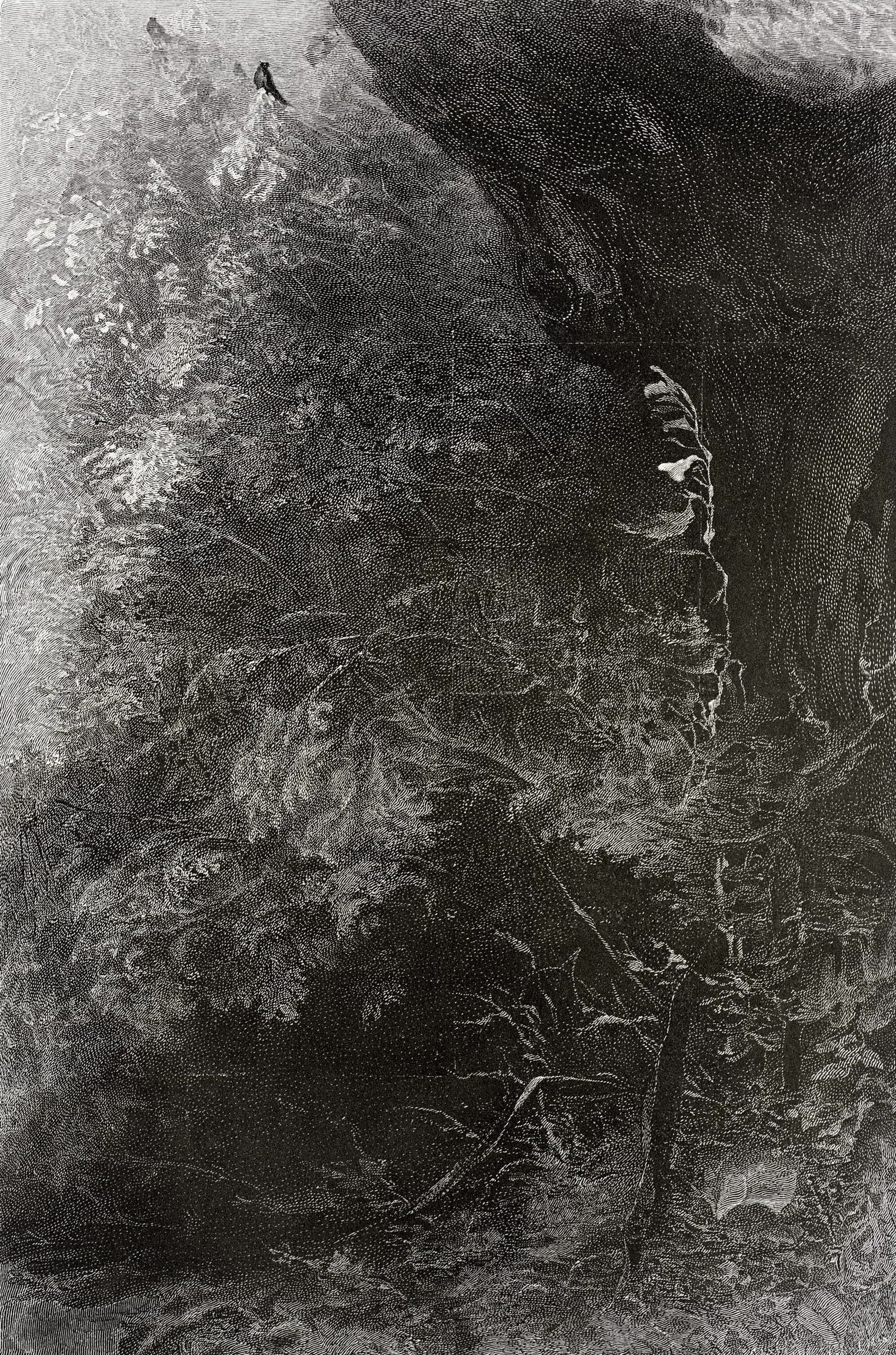 In the Heart of the Woods