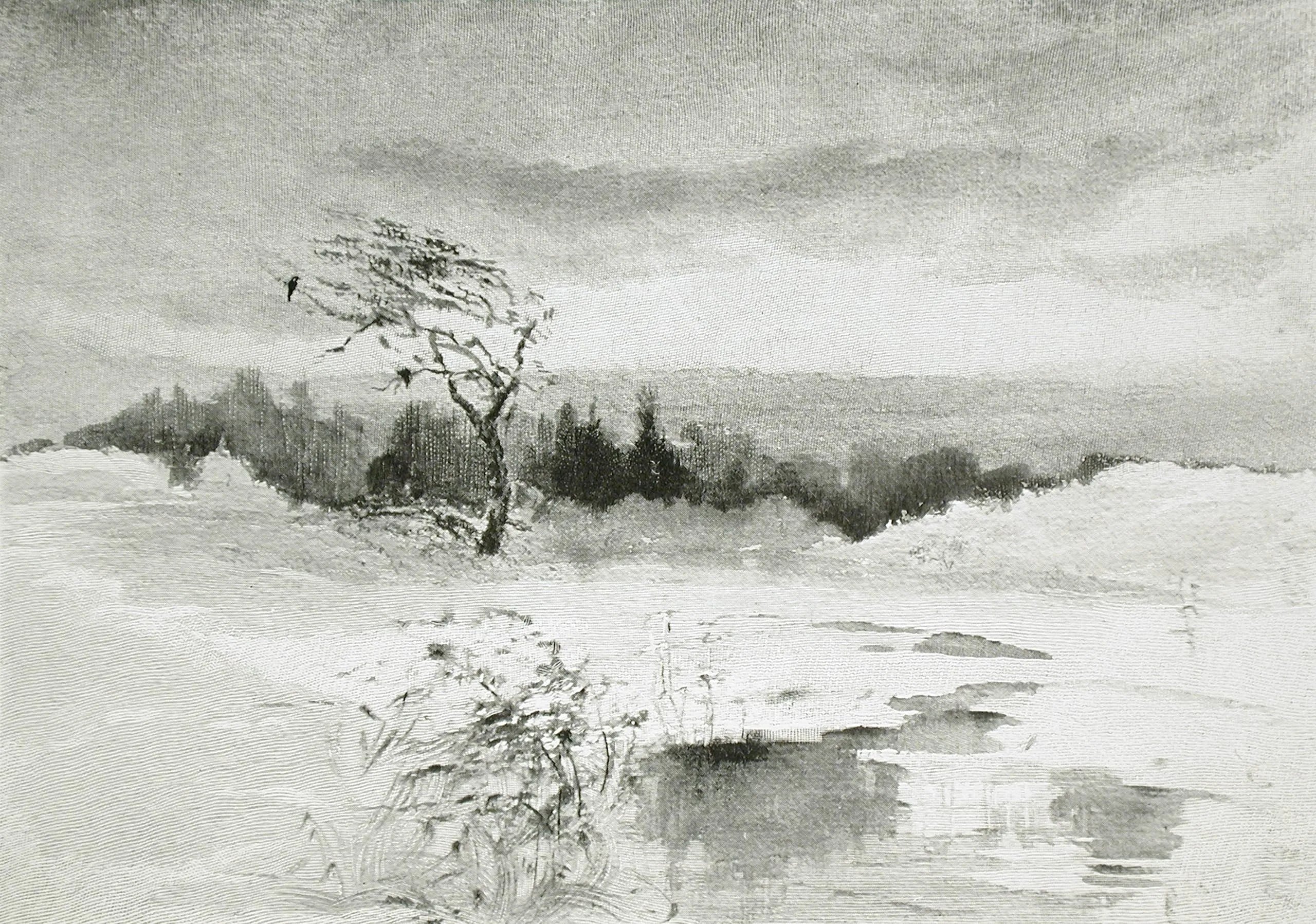 Landscape with Water and Windswept Tree