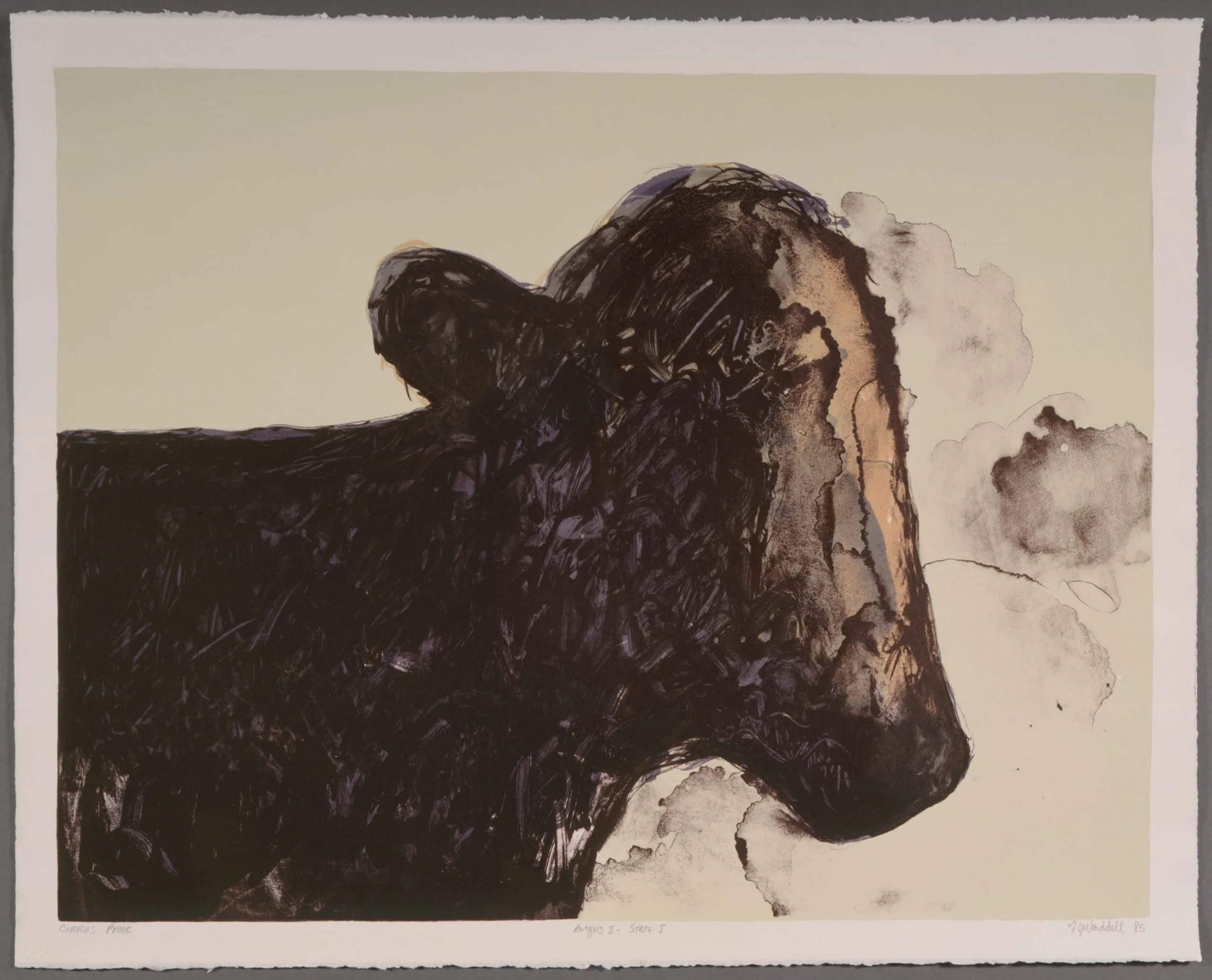 Angus I