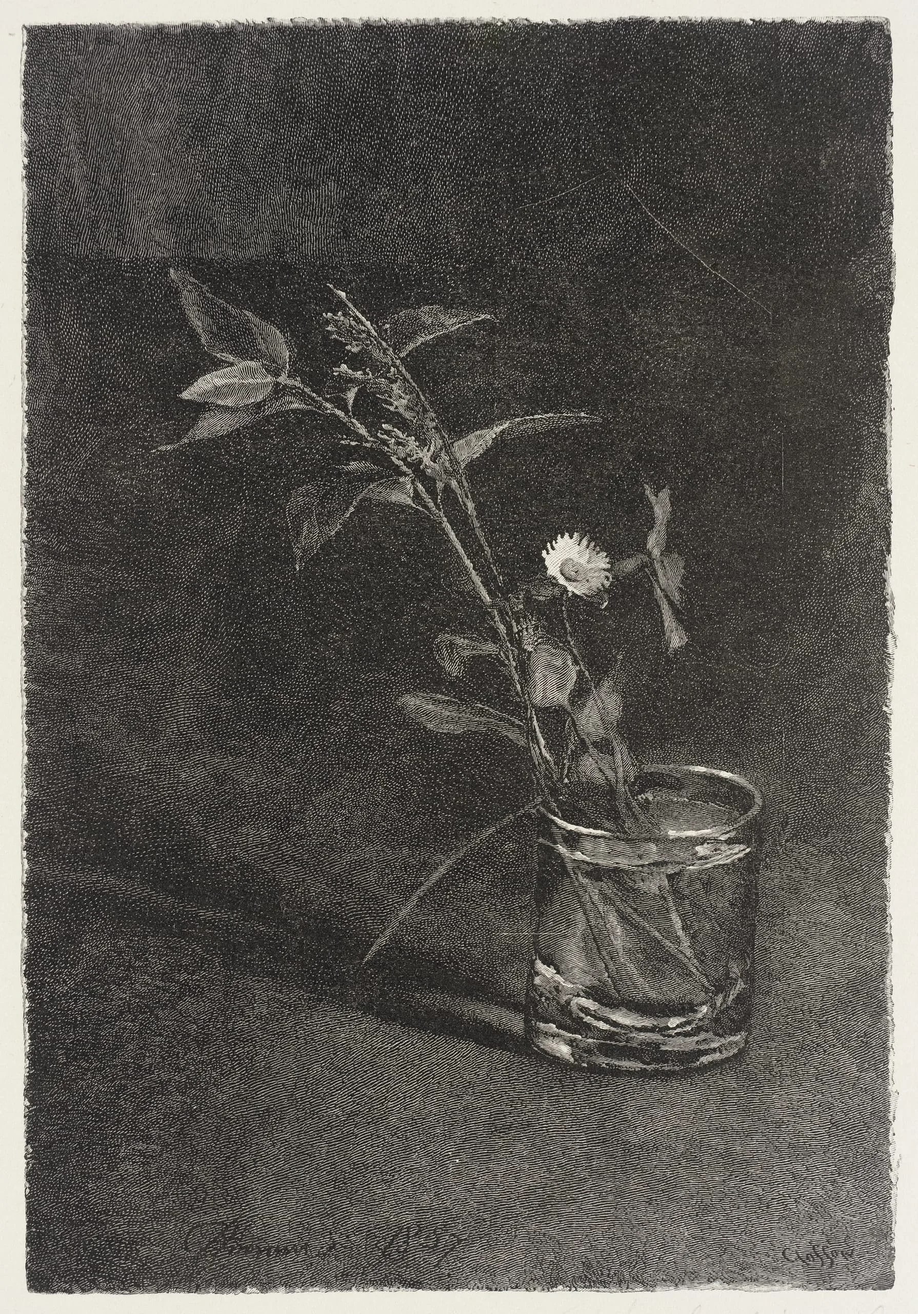 Flower in a Glass