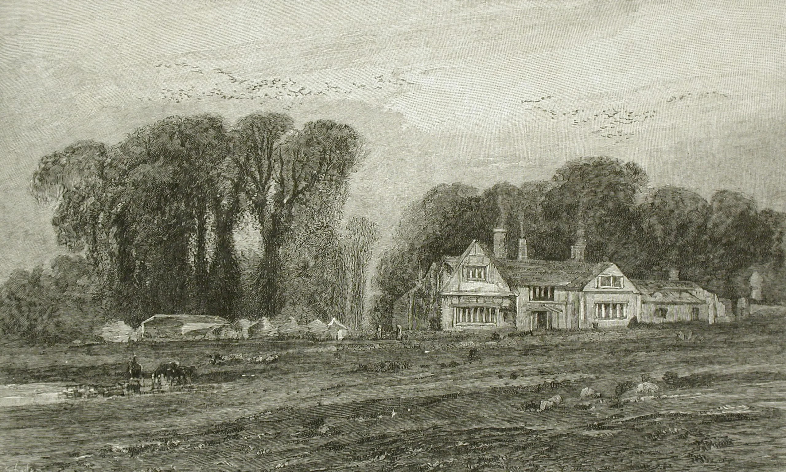 House and Landscape with Flock of Birds