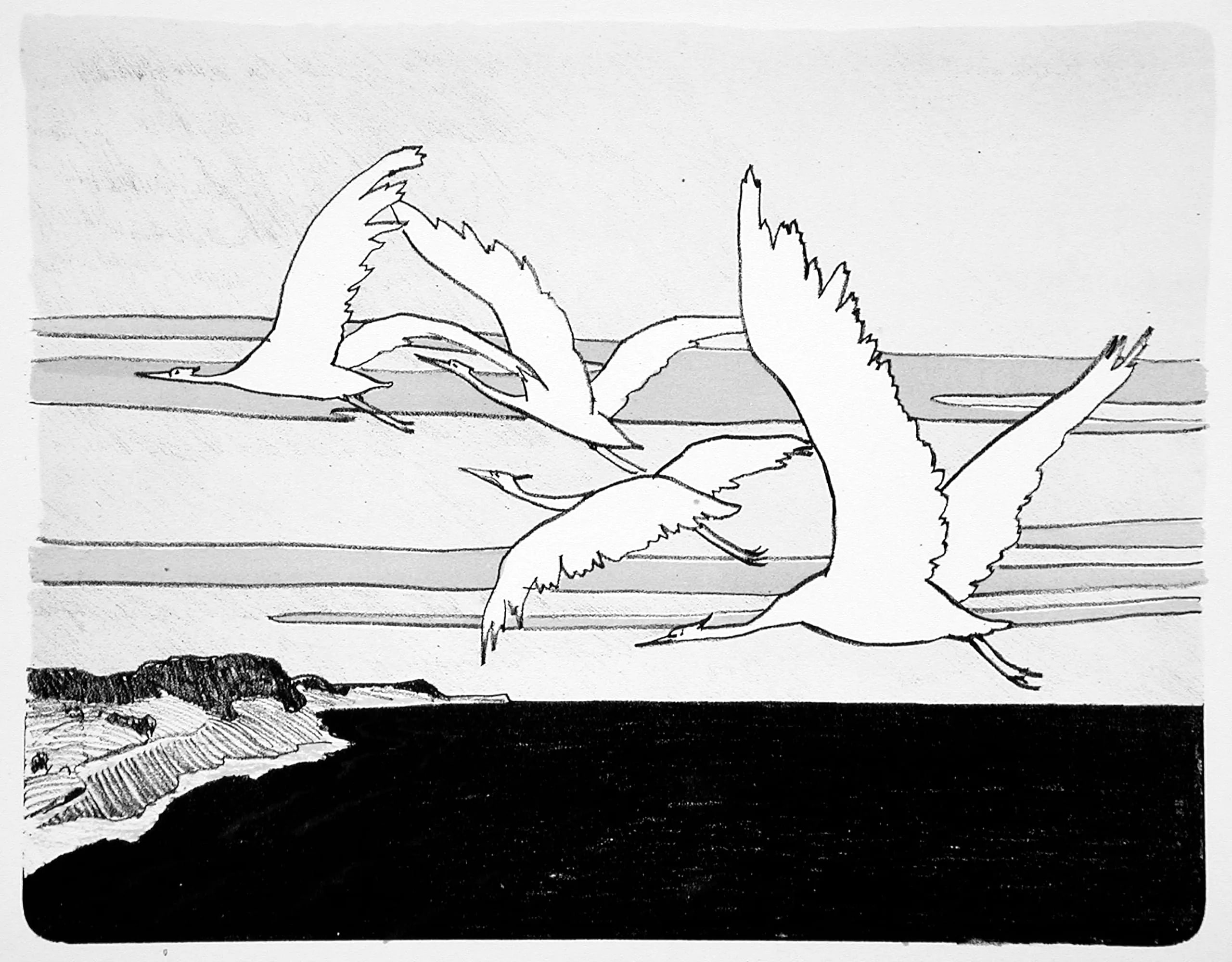 Cranes
