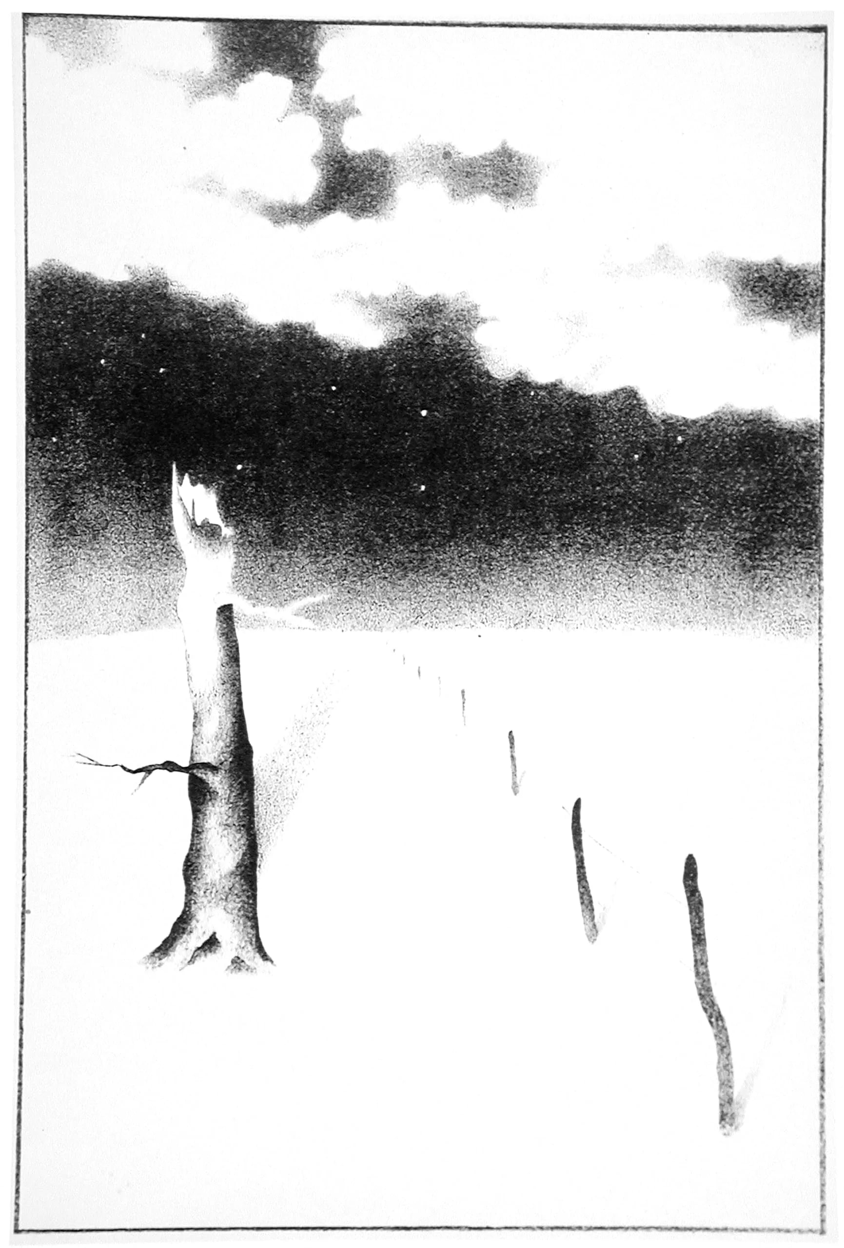 Desert Landscape