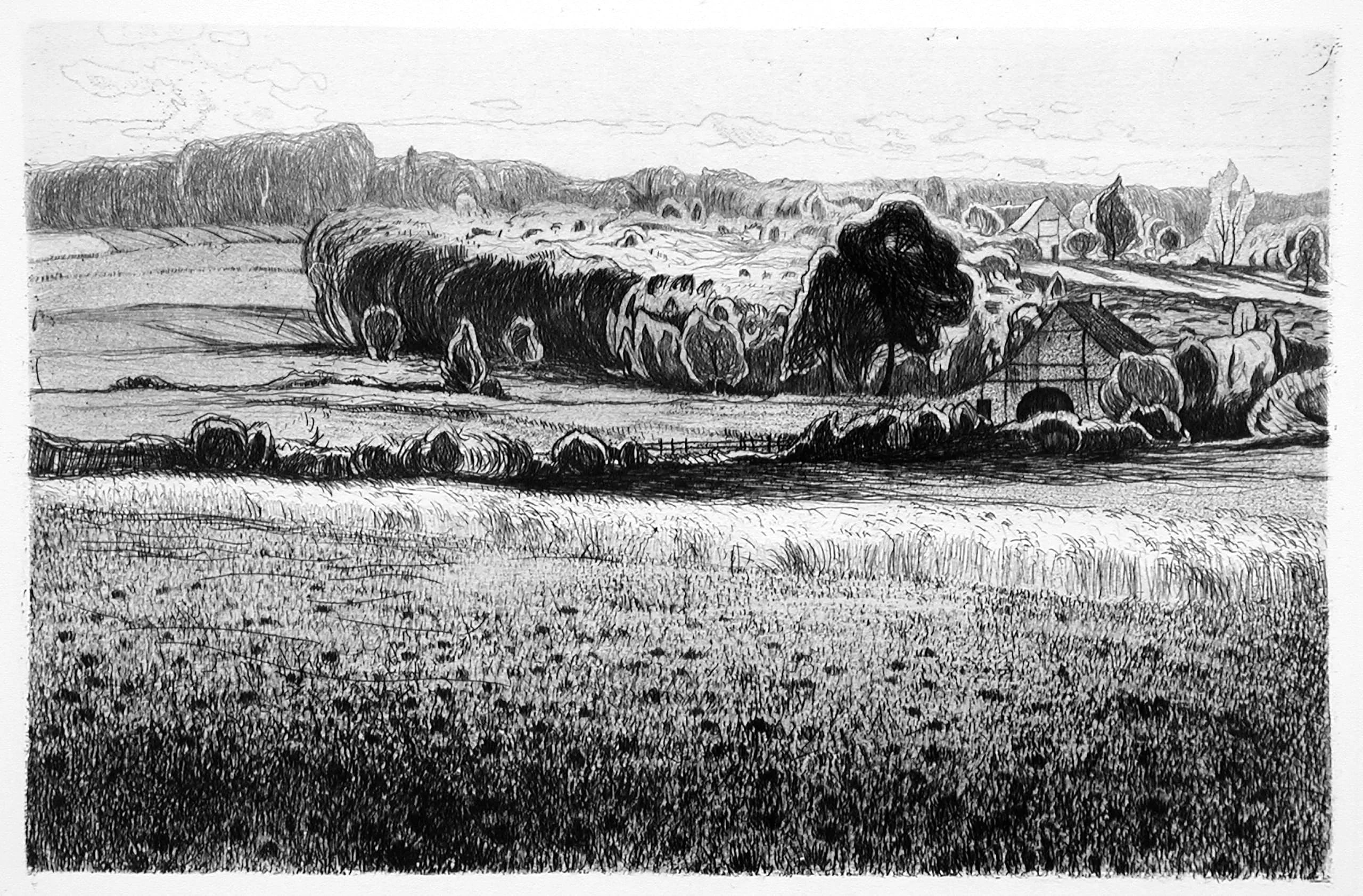 Farm houses on a wooded hill
