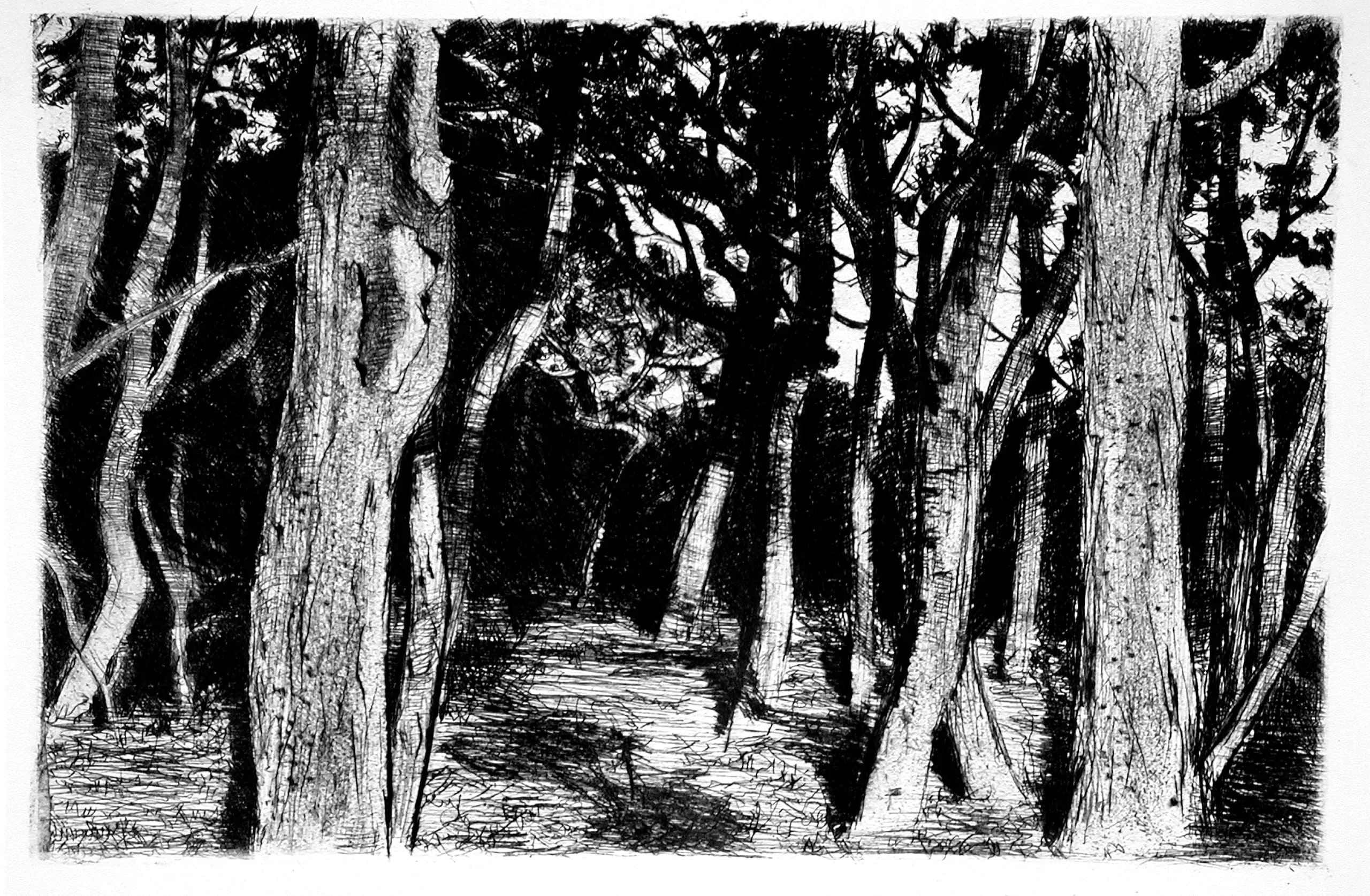 Group of trees