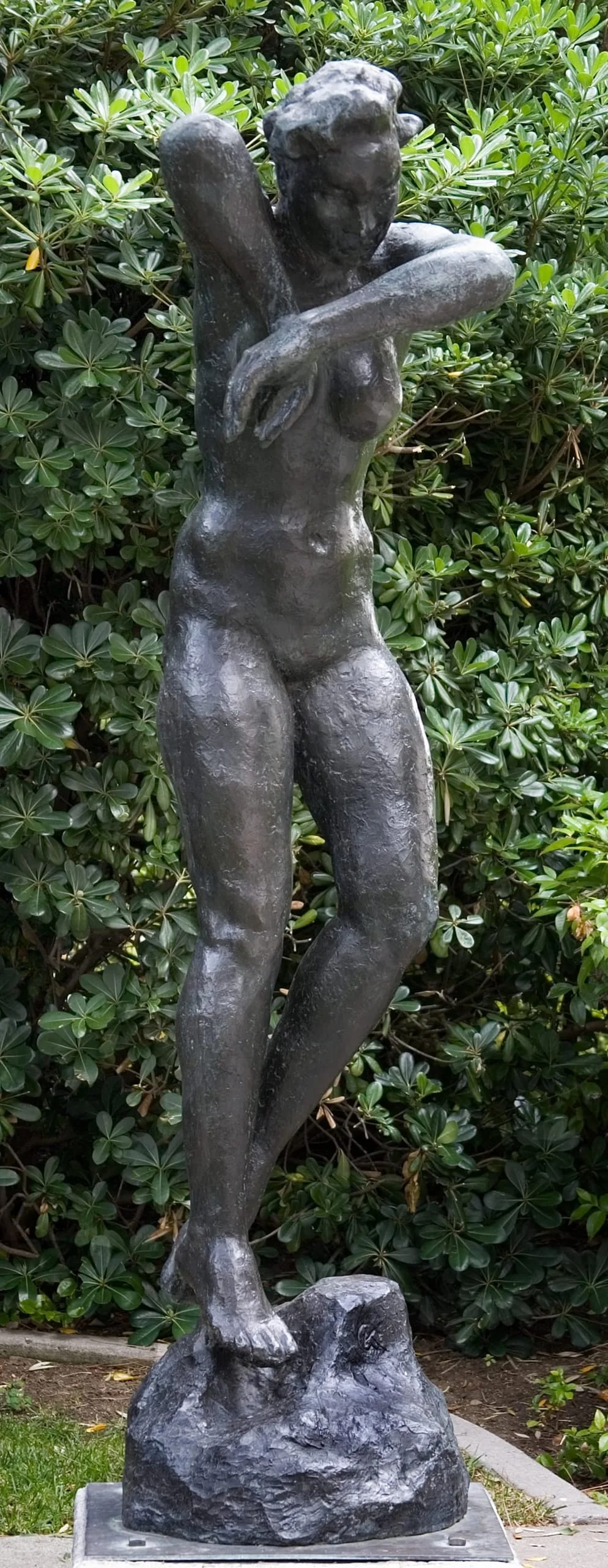Lucino