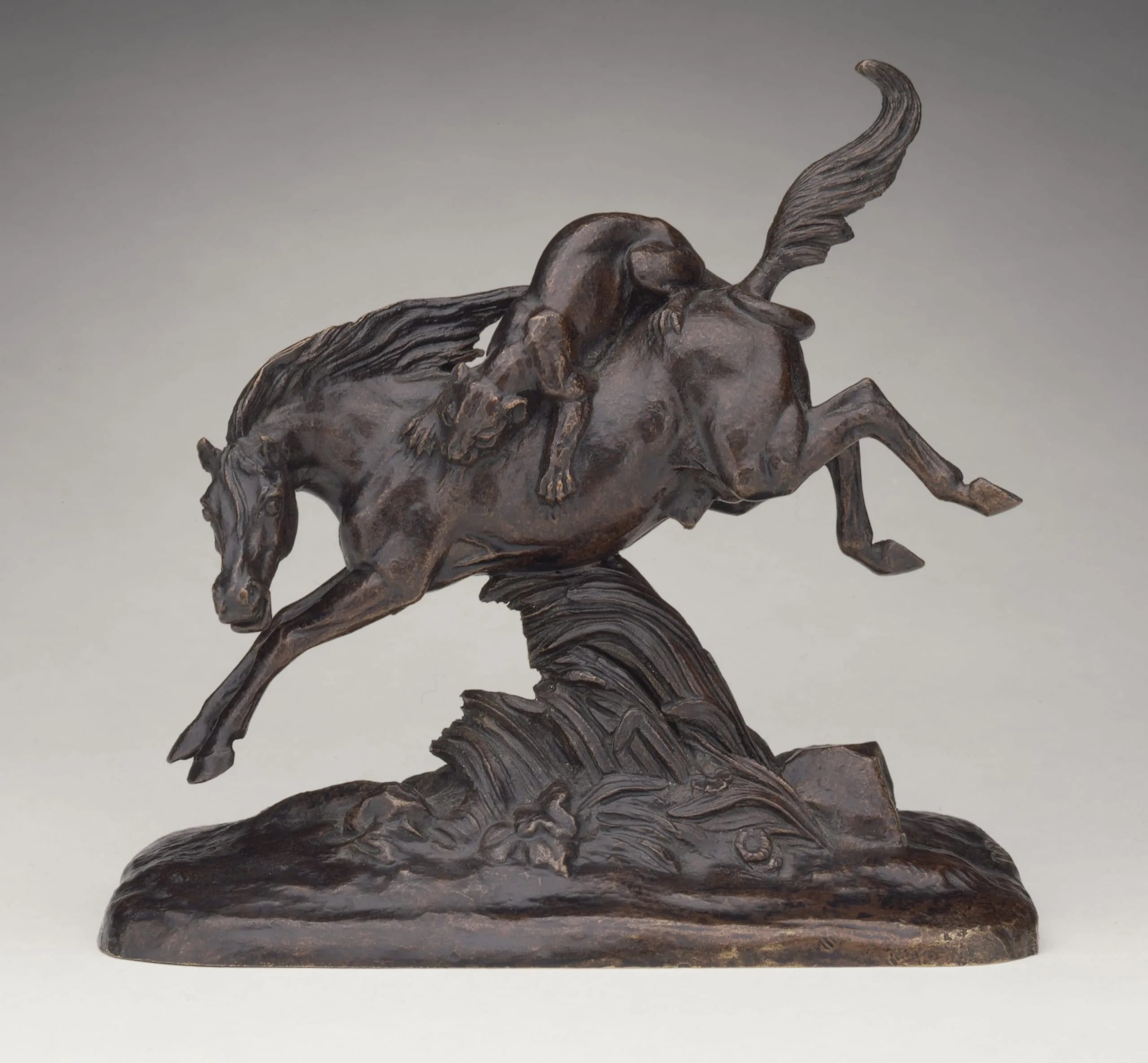 Horse Attacked by Lioness