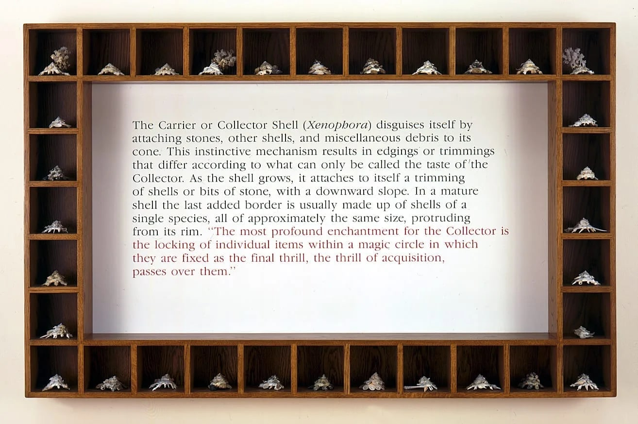Re: Collections (Shells)