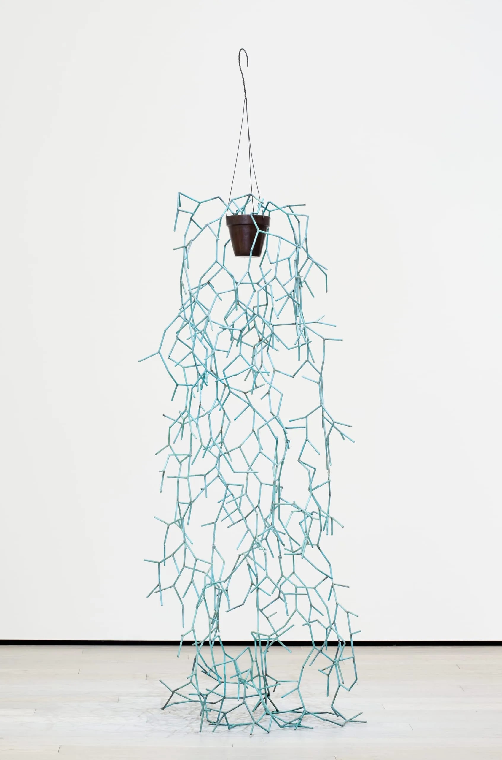 Hanging Plant