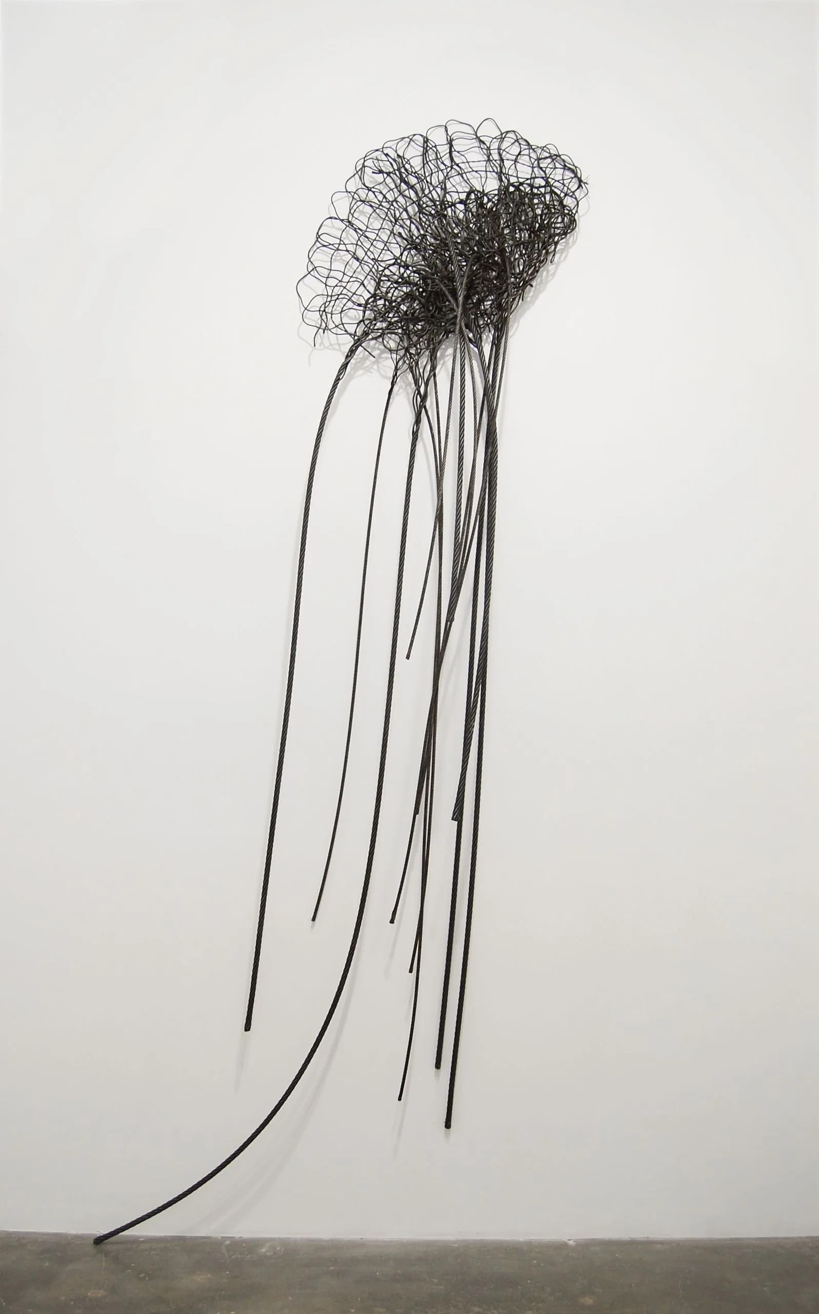 Untitled (Sea Anemone)