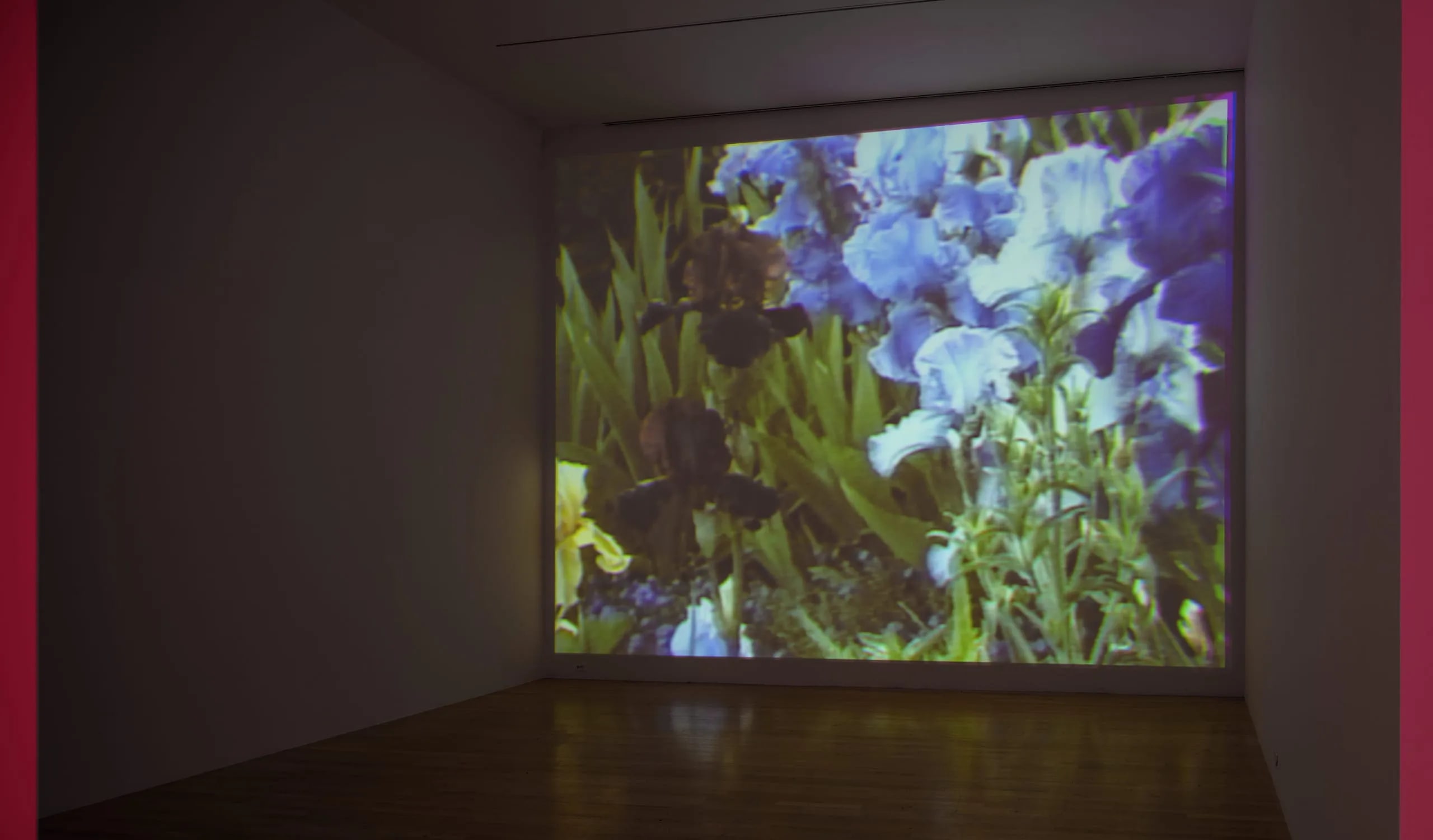 Oo Fifi,  Five Days in Monet's Garden, Part 2