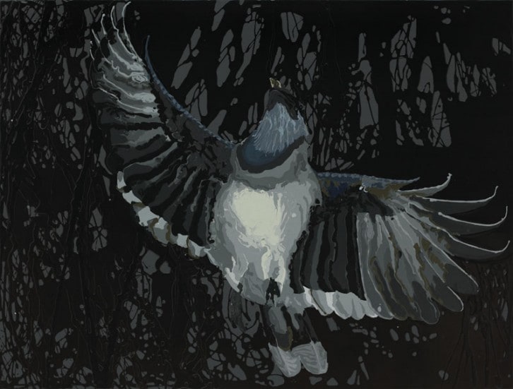 Blue Jay A.