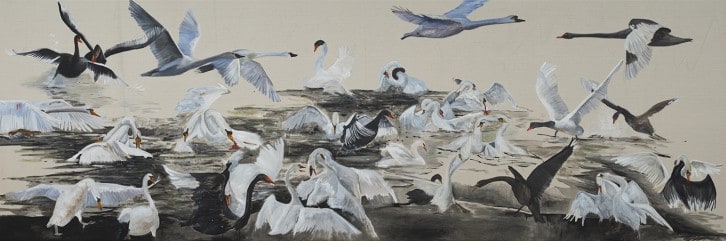 Swan Lake on the Radio
