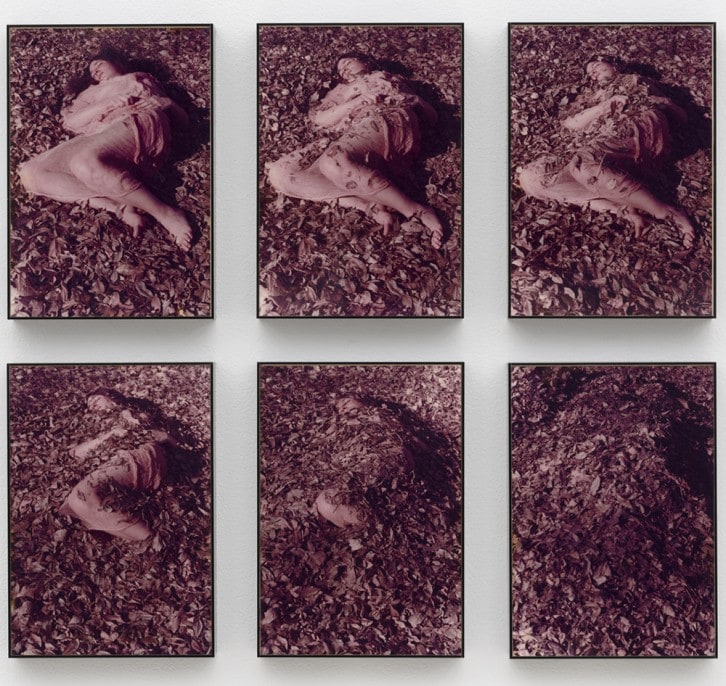 Leaves, A Self Portrait