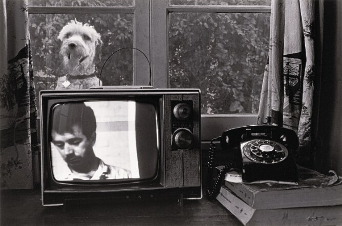 Untitled (Dog in Window Behind TV)