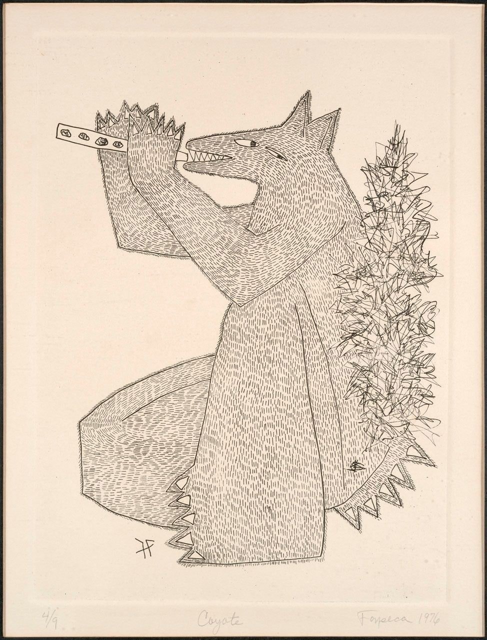 Coyote