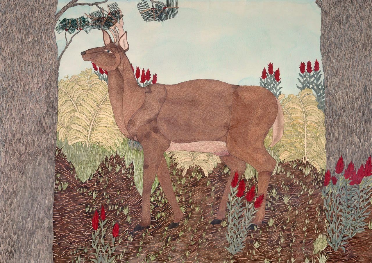 Forest with Deer