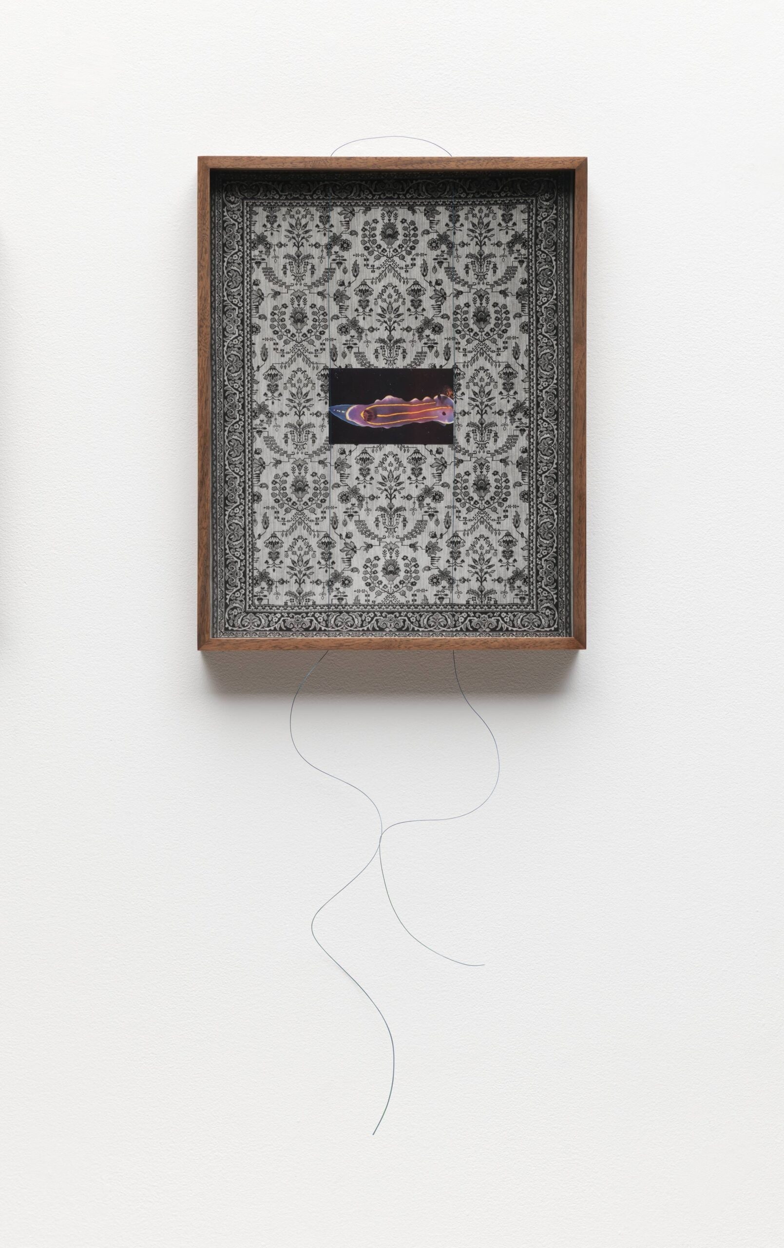 Untitled (Carpet, Nudibranch)