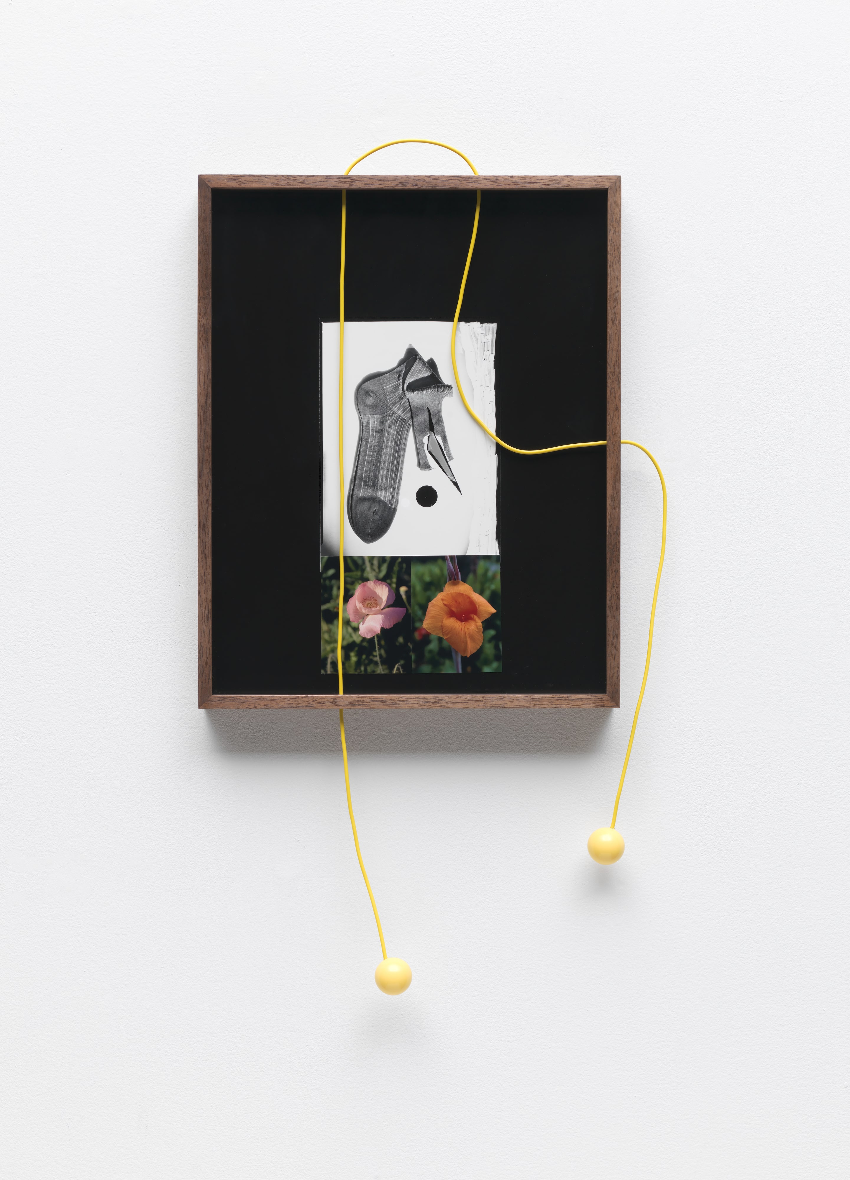 Untitled (Sock, Poppy, Canna Lily)