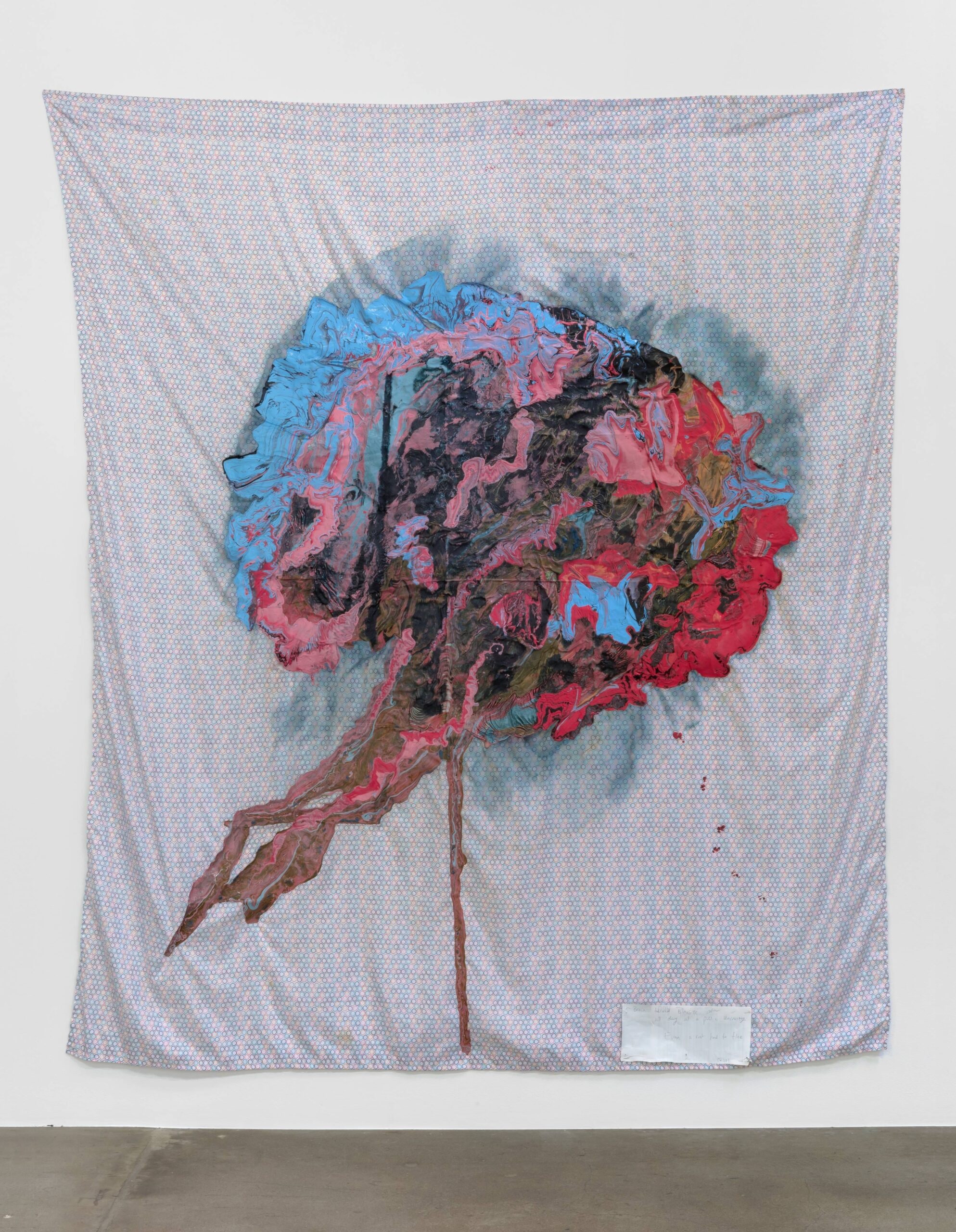 rat brain