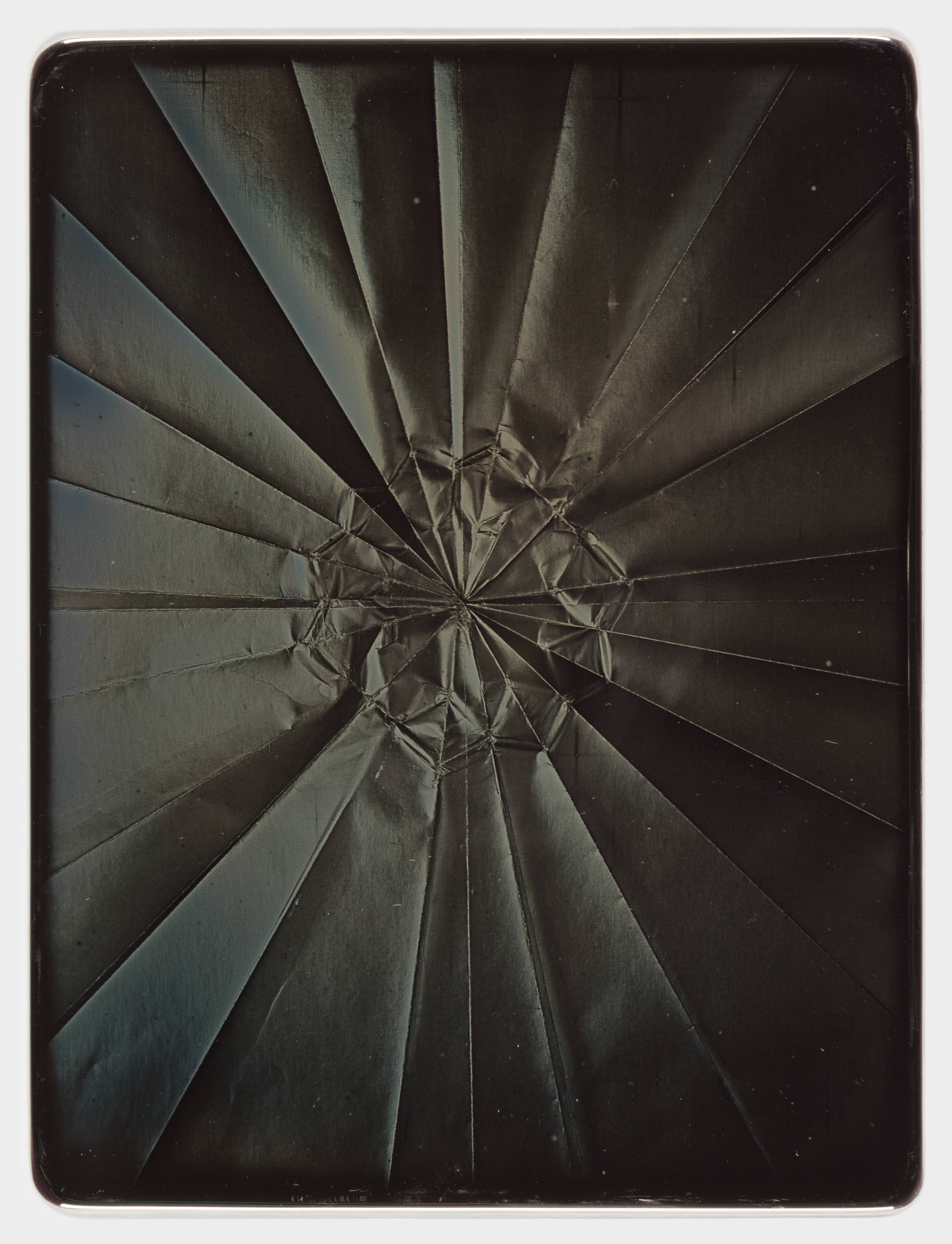 Trout, from the series Unfolded