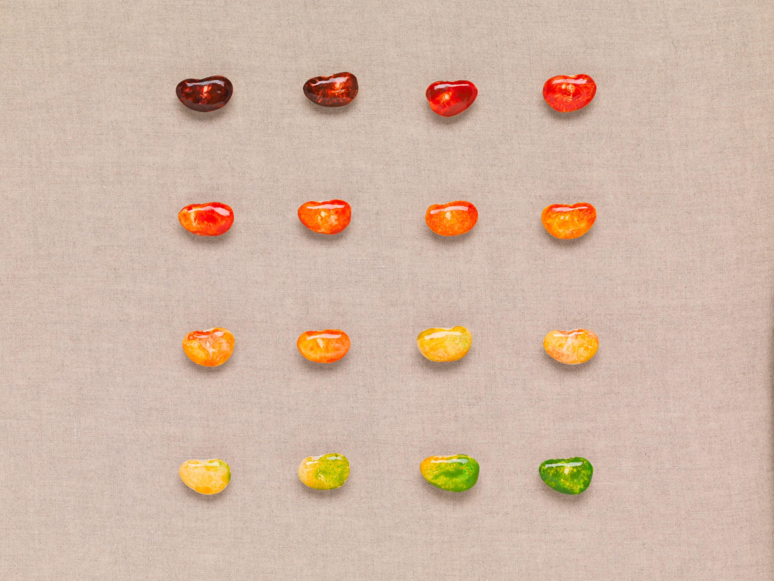 Plum Ripe, from the series Pliny's Natural History of Jewels
