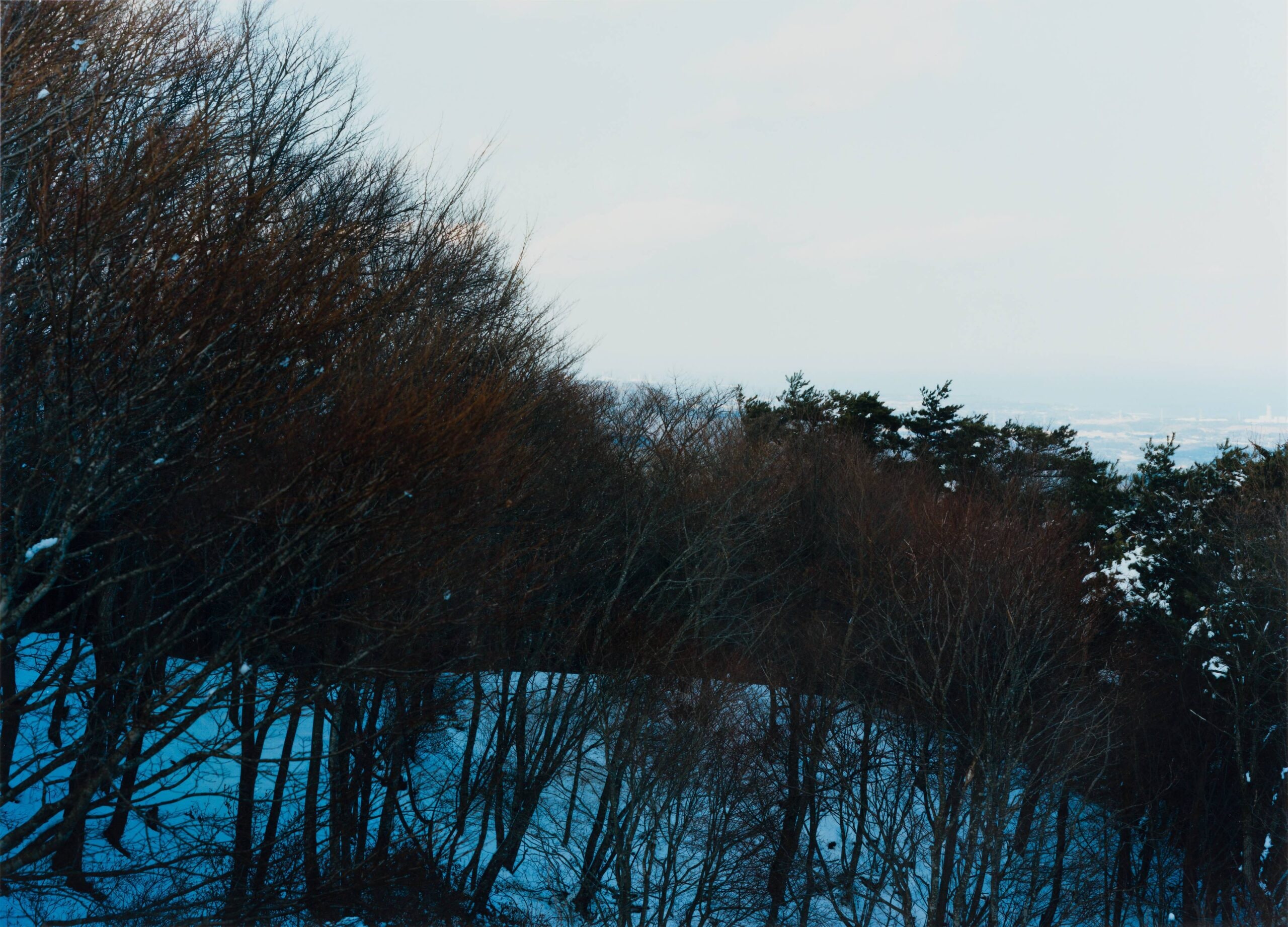Semicircle Law #13 2012.3.12 / 25 km