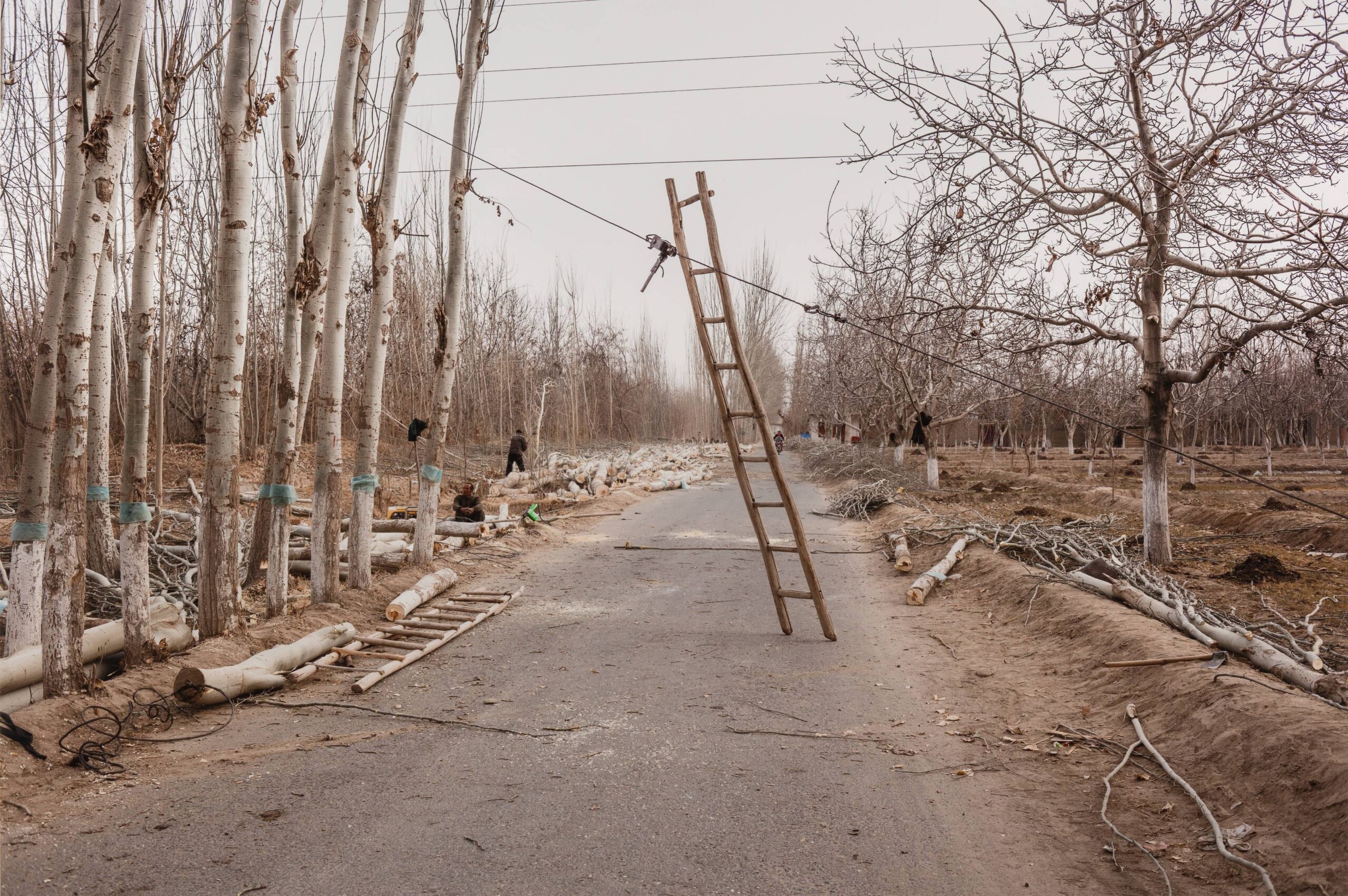 Buzakh Village, HotanArtist name