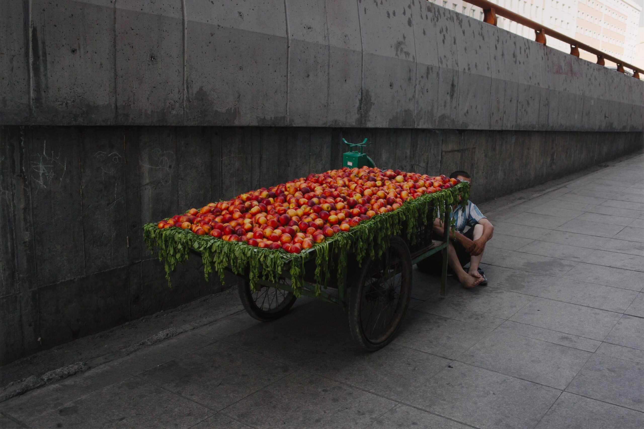 Nectarines, UrumqiArtist name