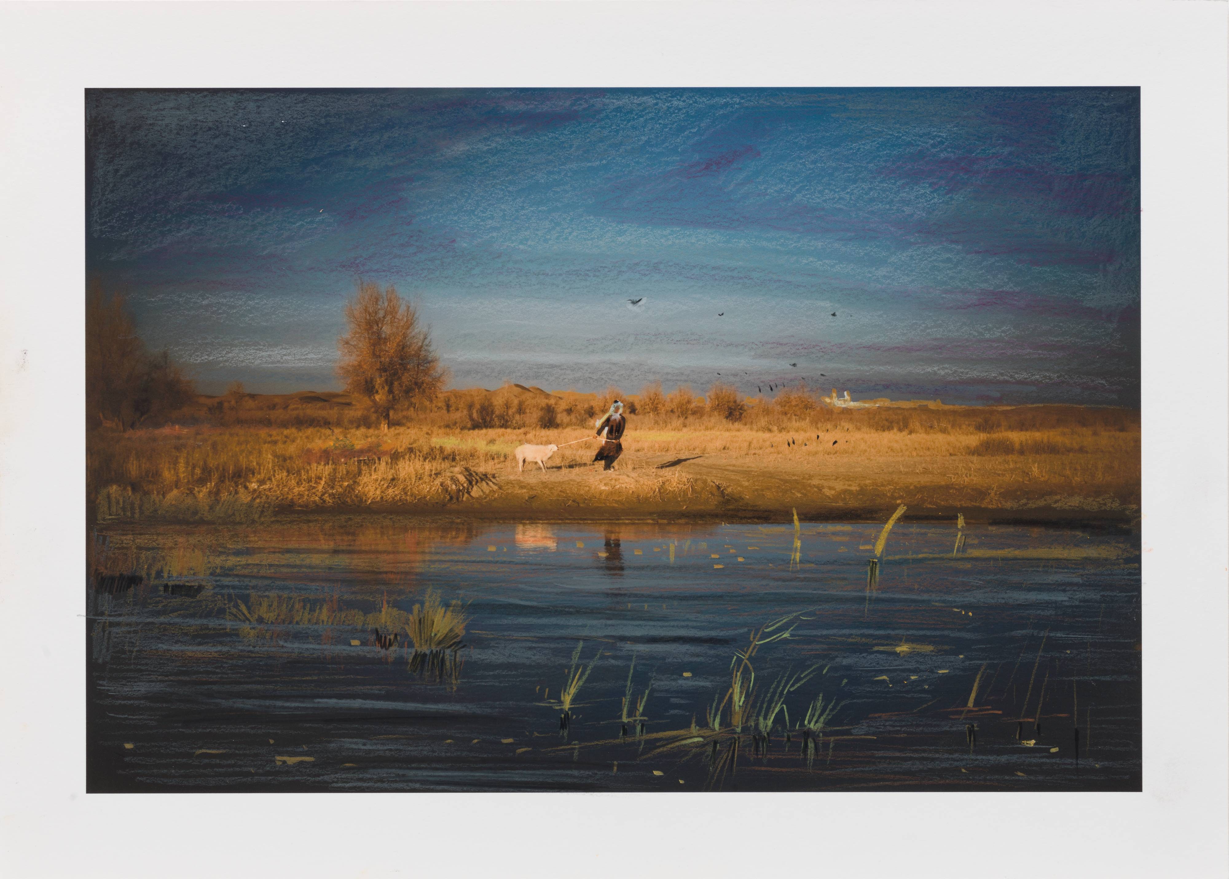 Untitled, from the series Wild Pigeon