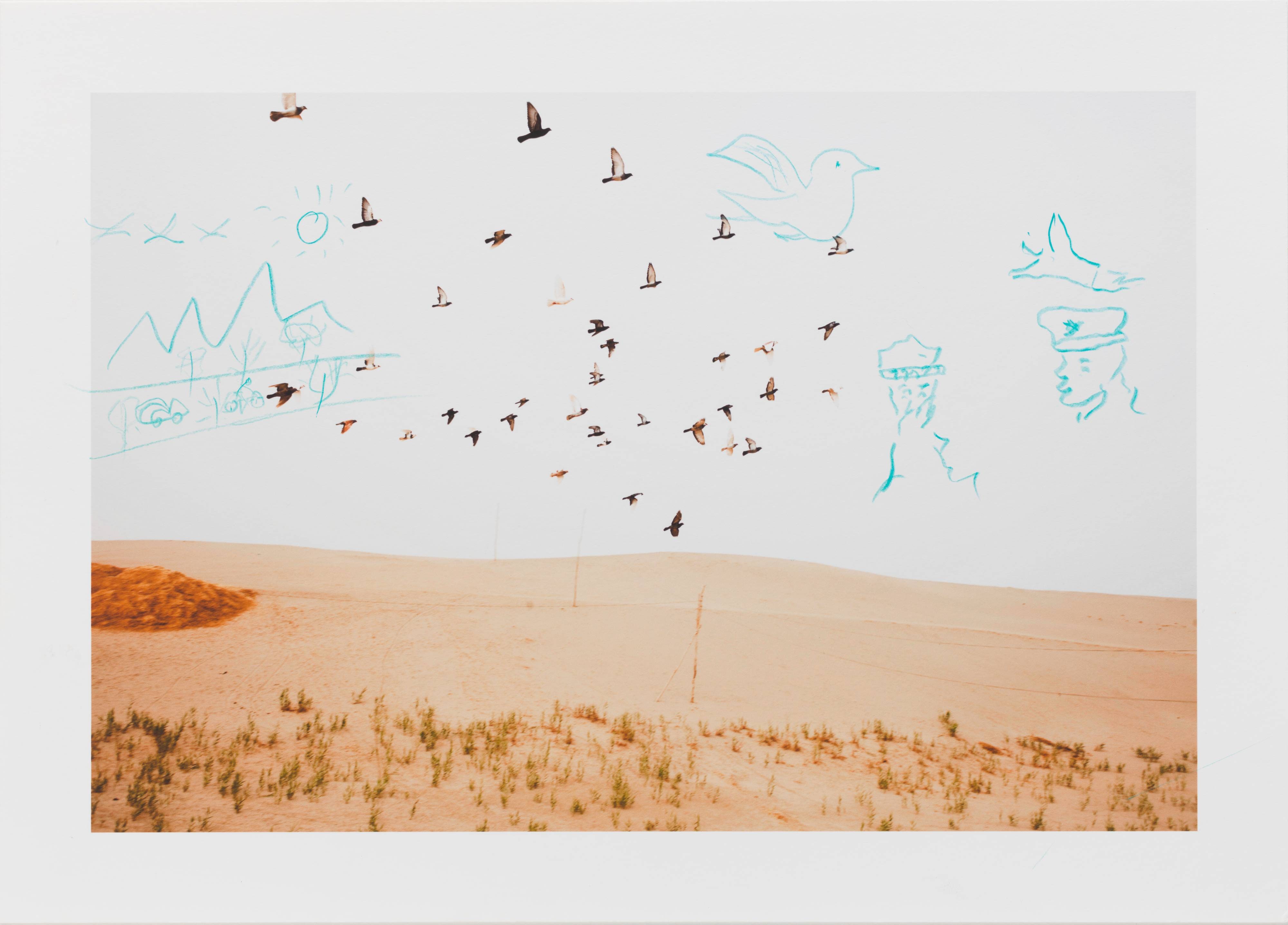 Untitled, from the series Wild Pigeon