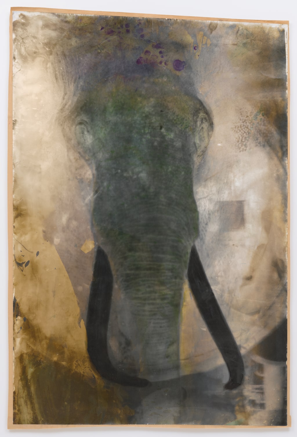 Elefantenkopf (Elephant Head)
