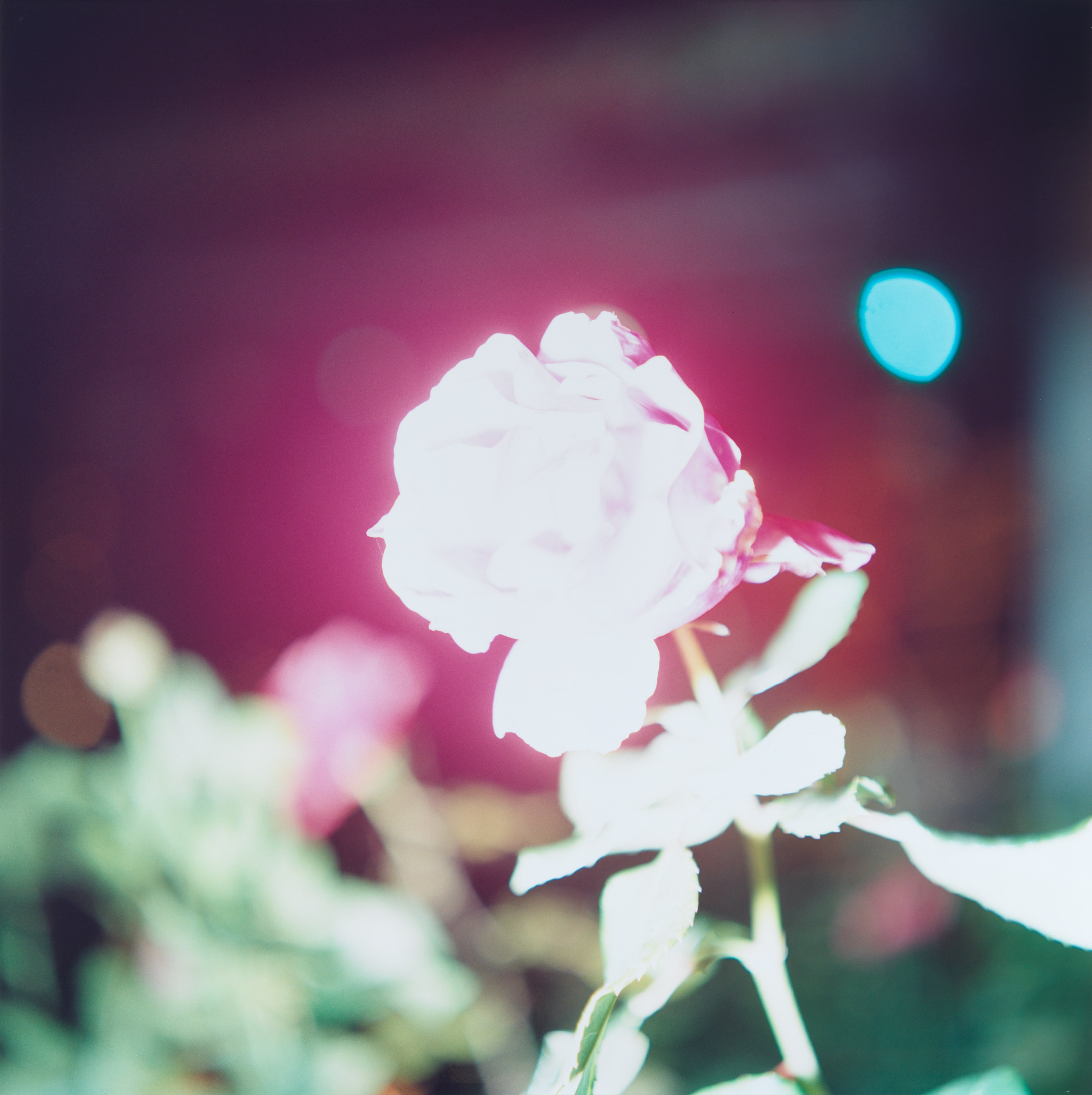 Untitled, from the series Illuminance