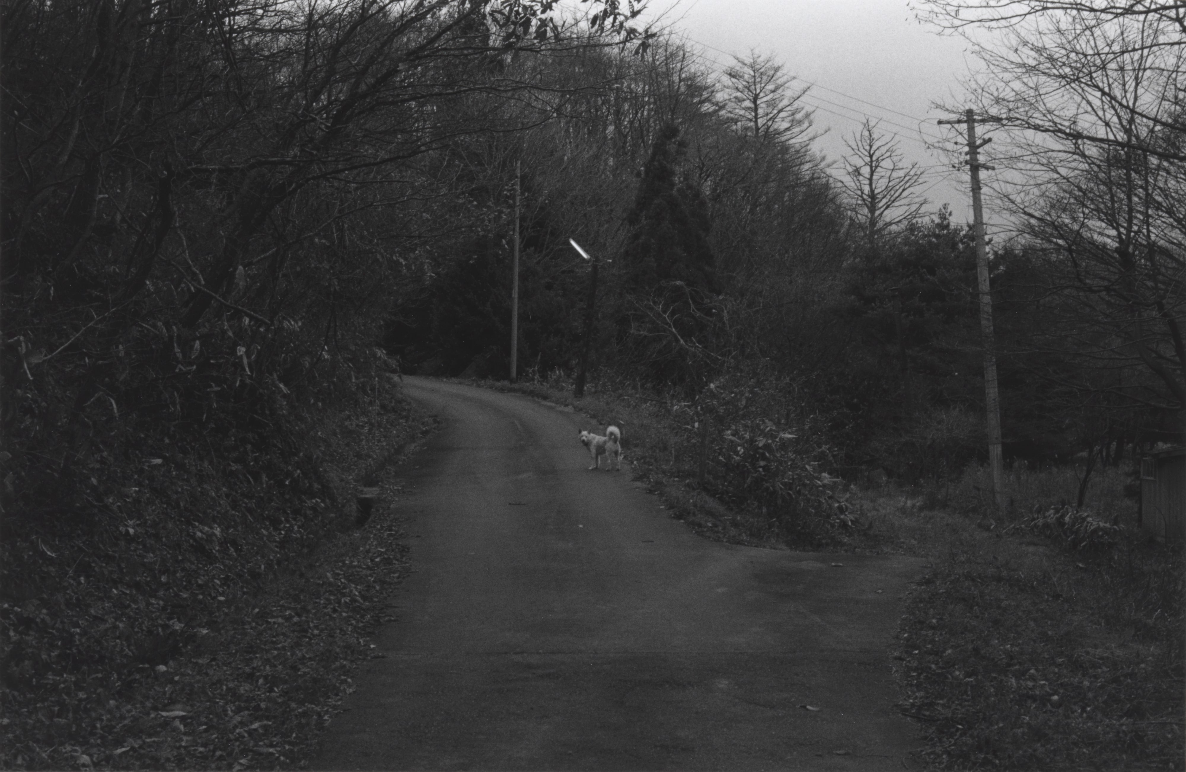 uncertain