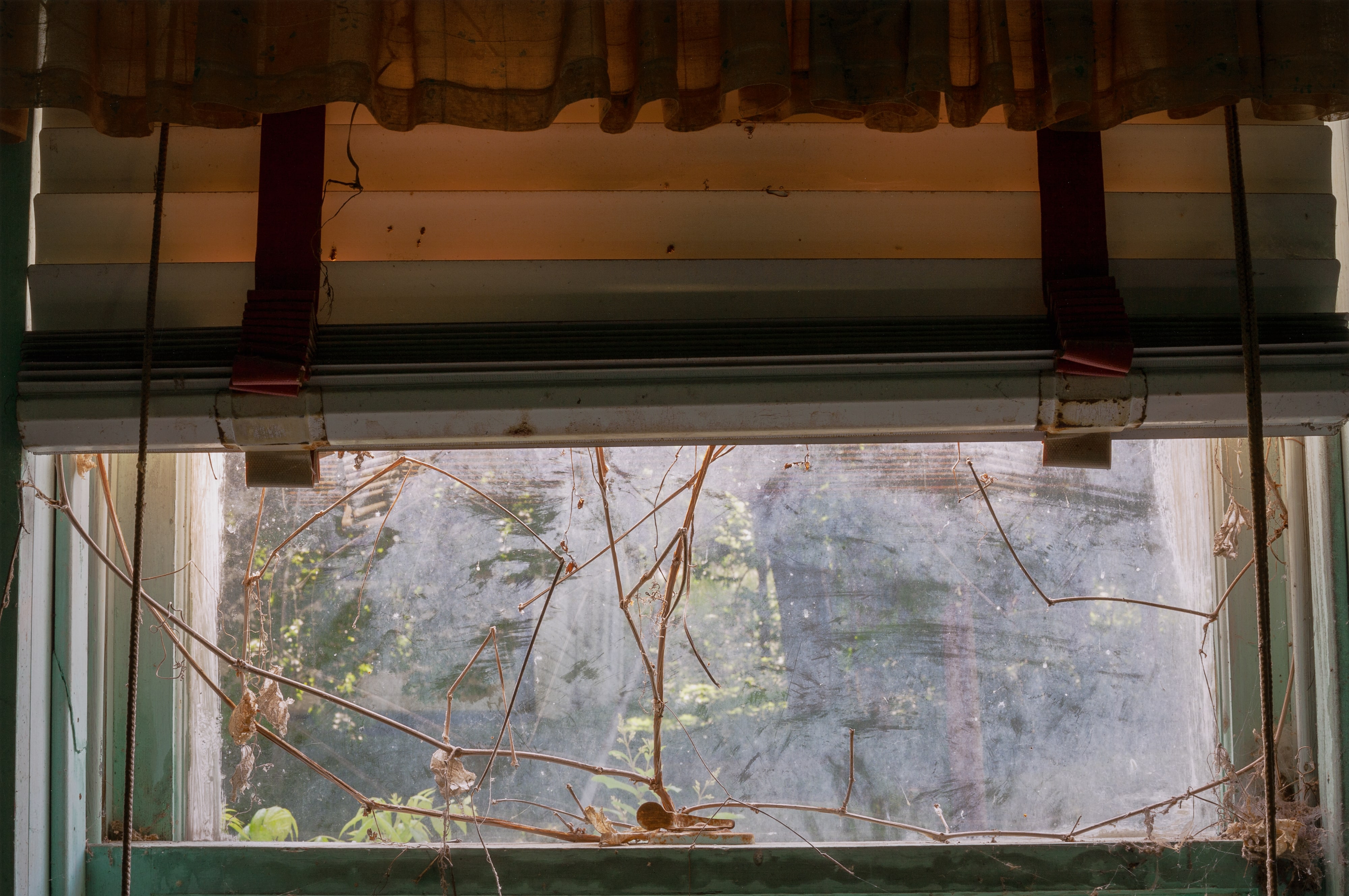 Willow Street, Window, from the series Pieces of String