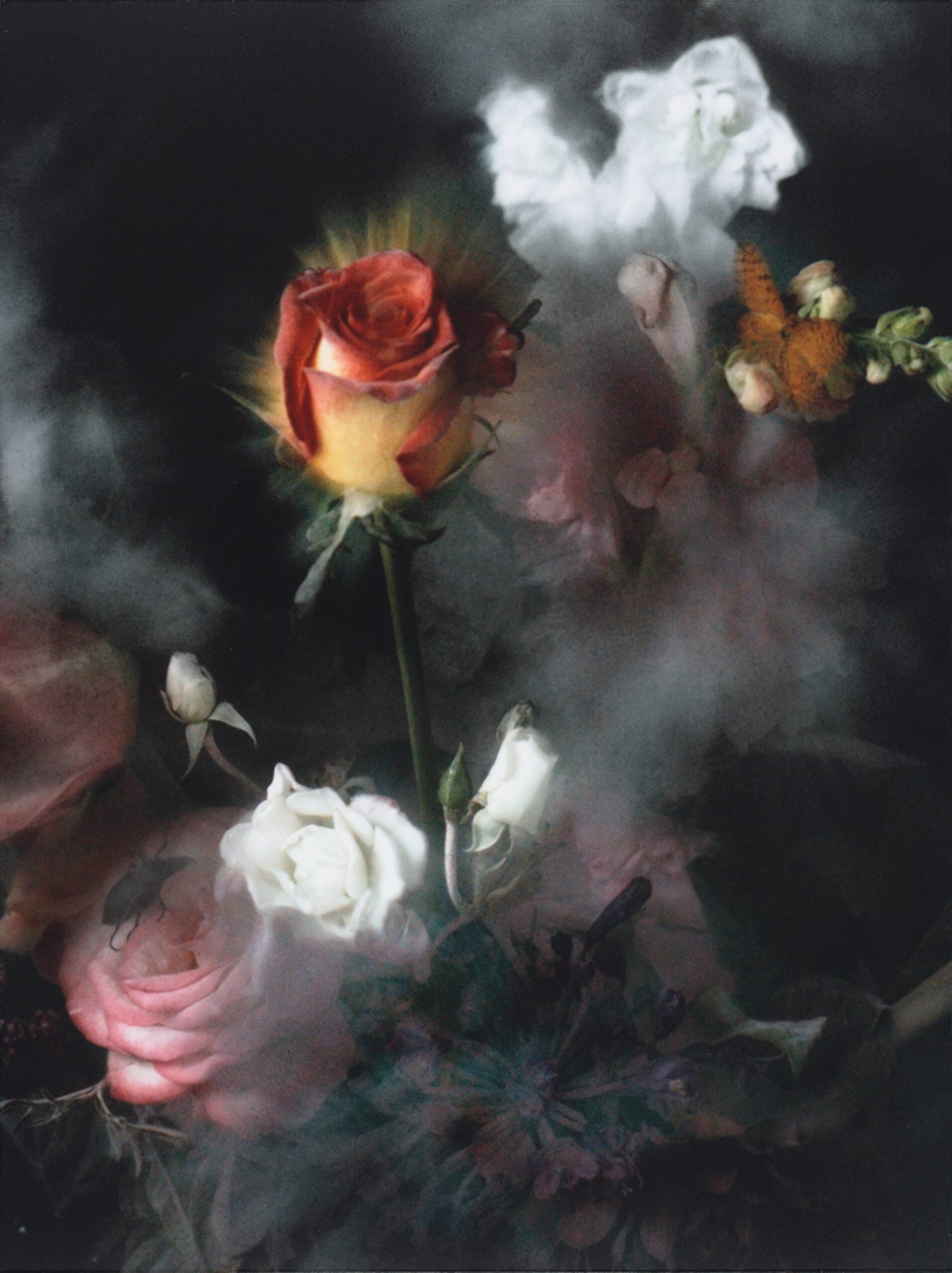 Untitled 20, from the series Time After Time