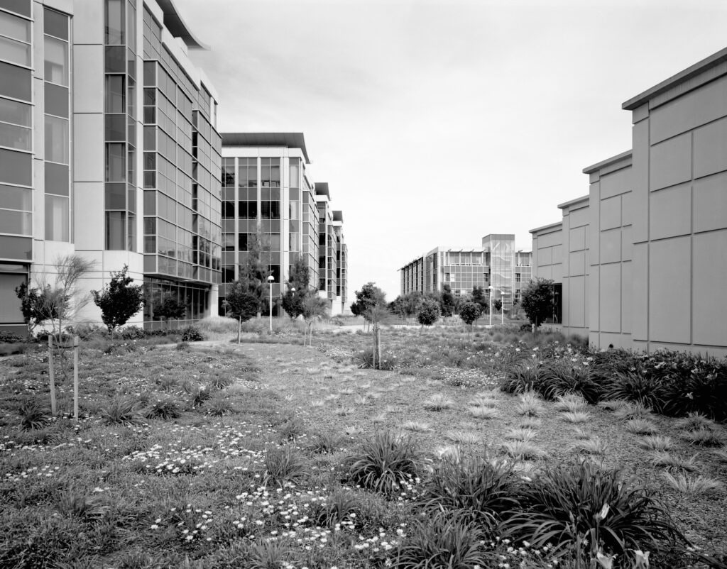 Redwood City, 2007