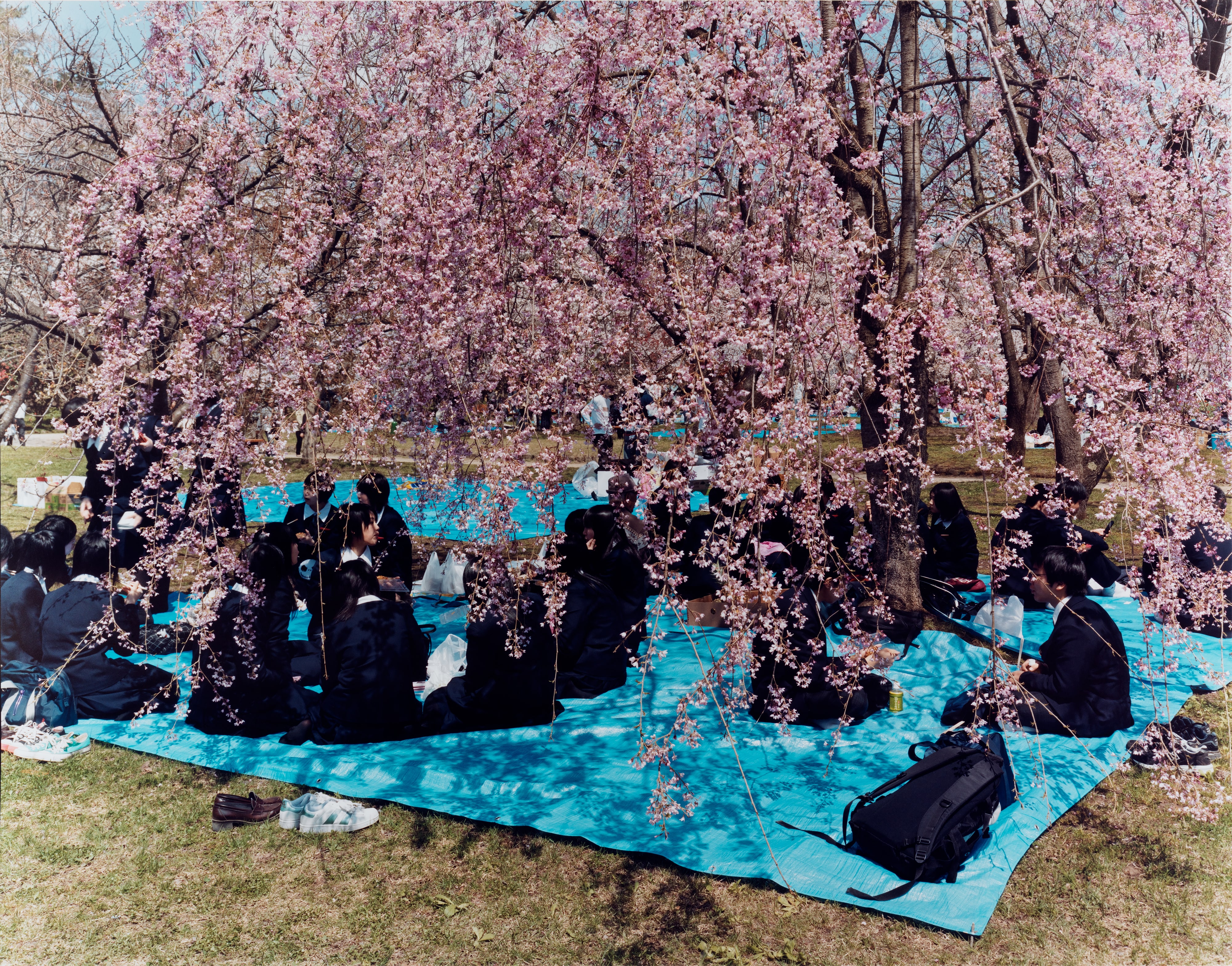 Picnics #1, from the seriesNew Memories