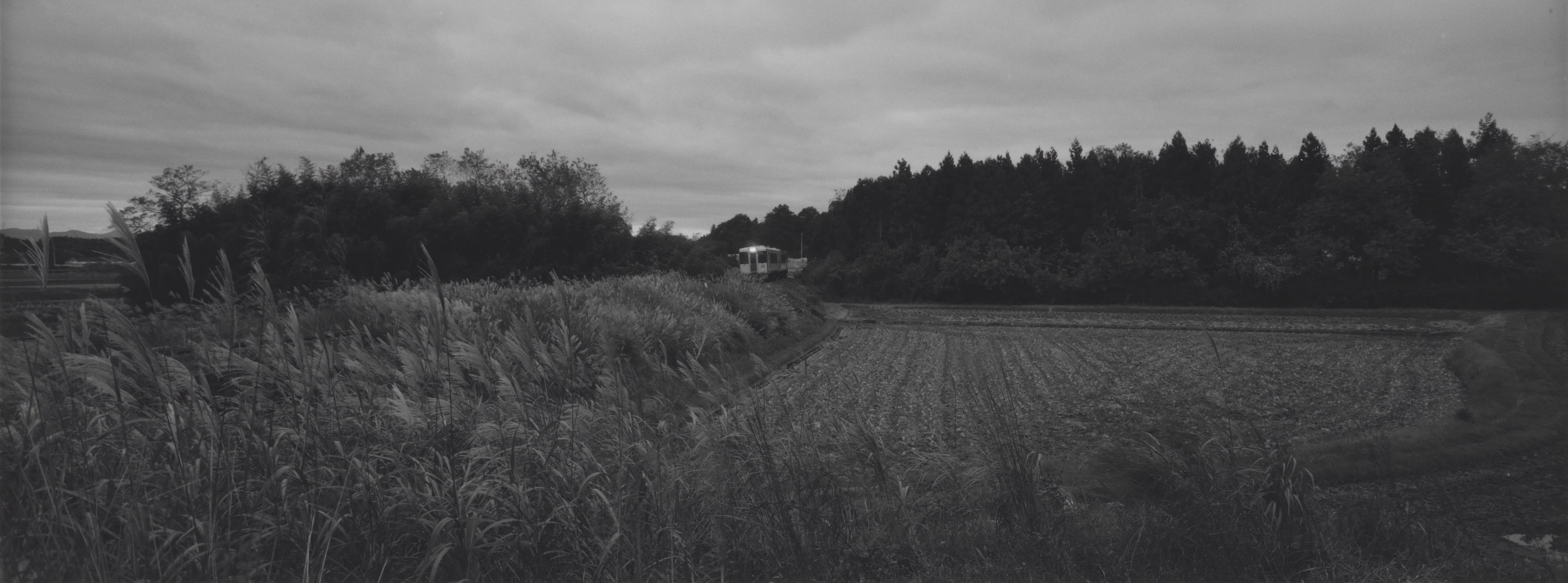 timelessness
