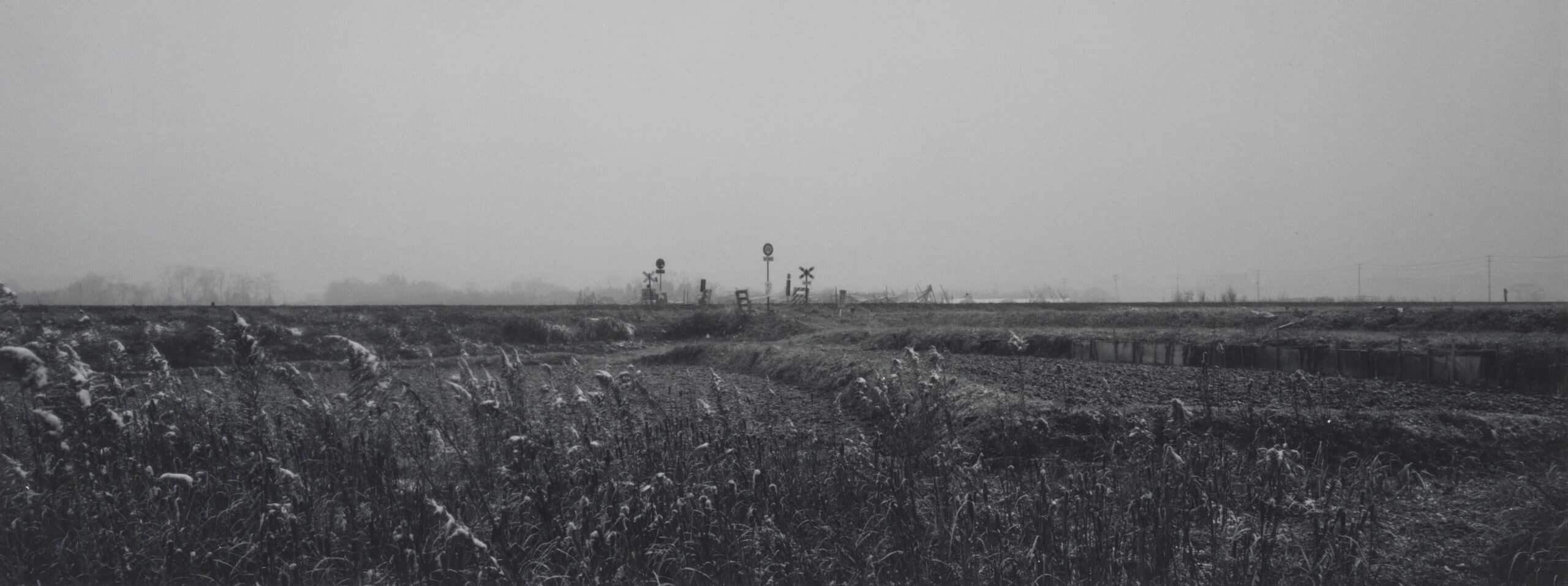 timelessness