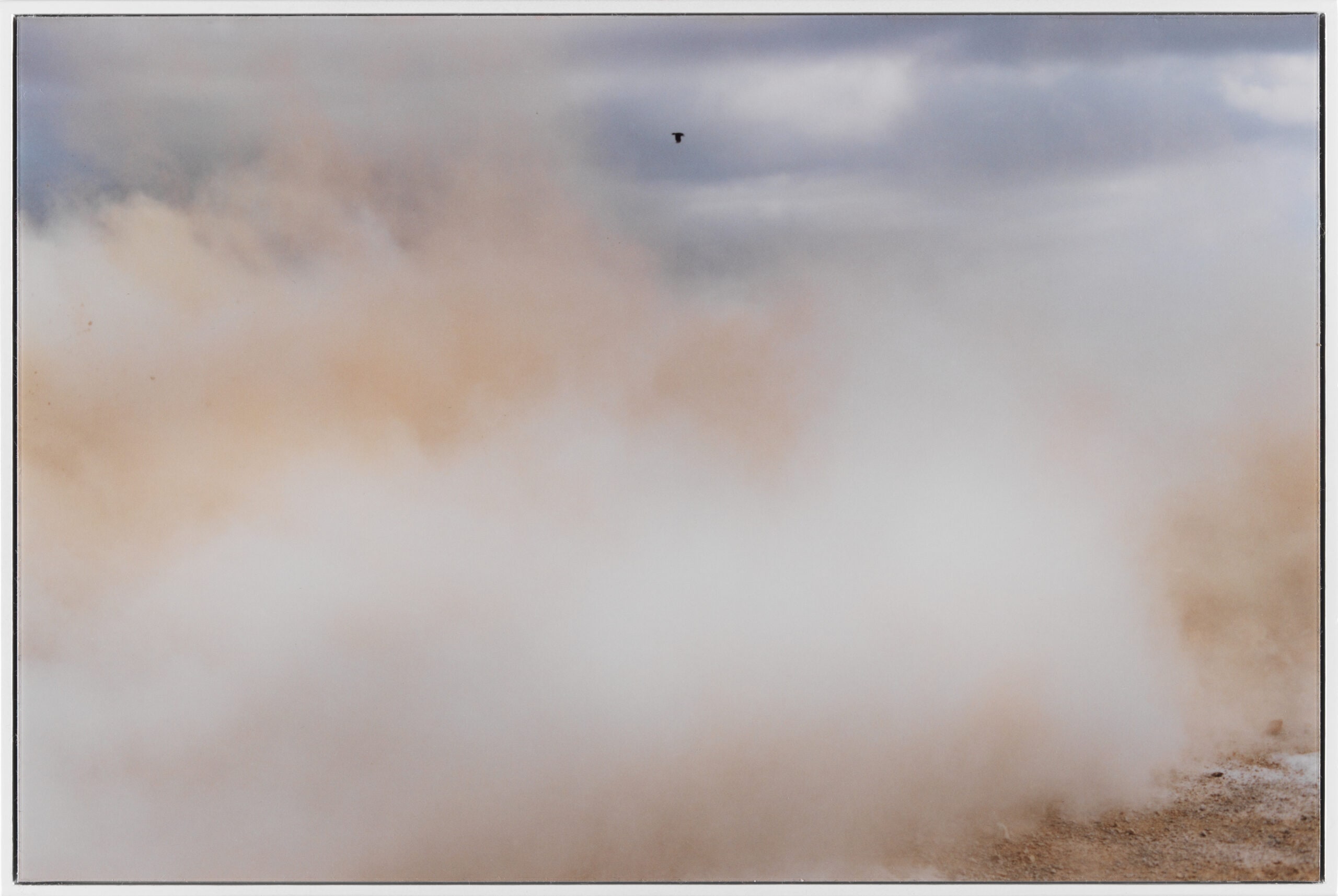 A Bird / Blast #130