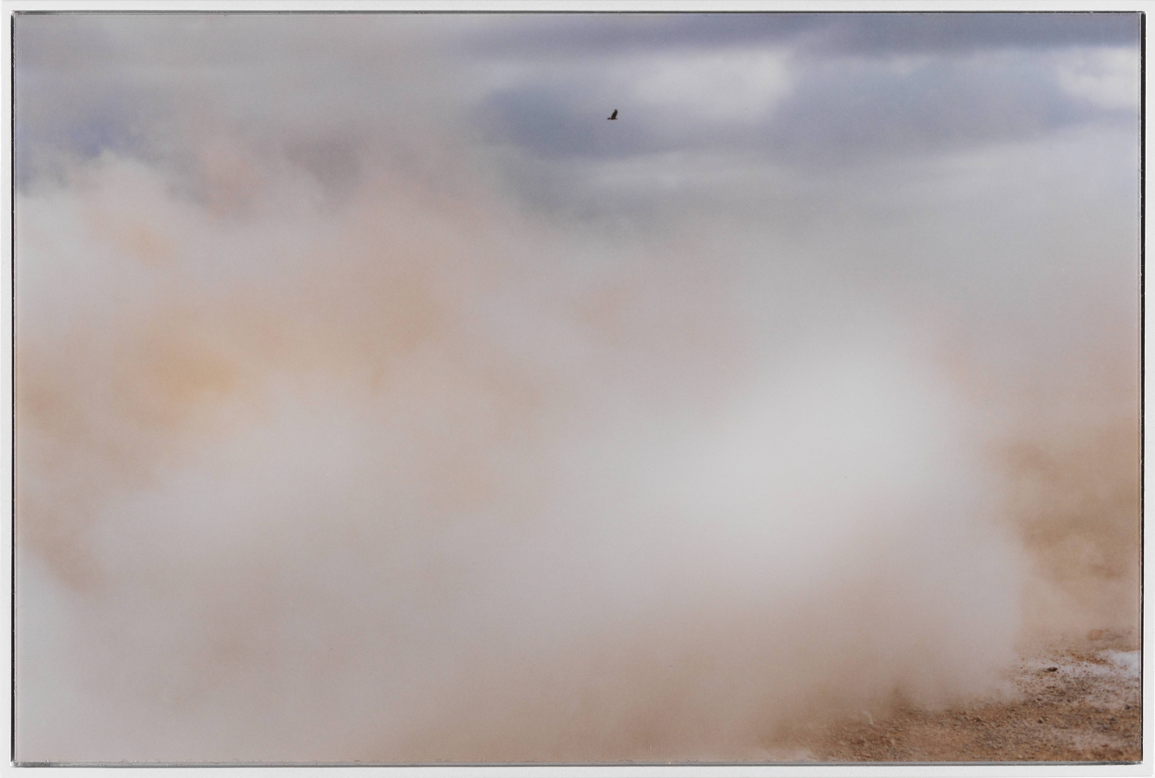 A Bird / Blast #130