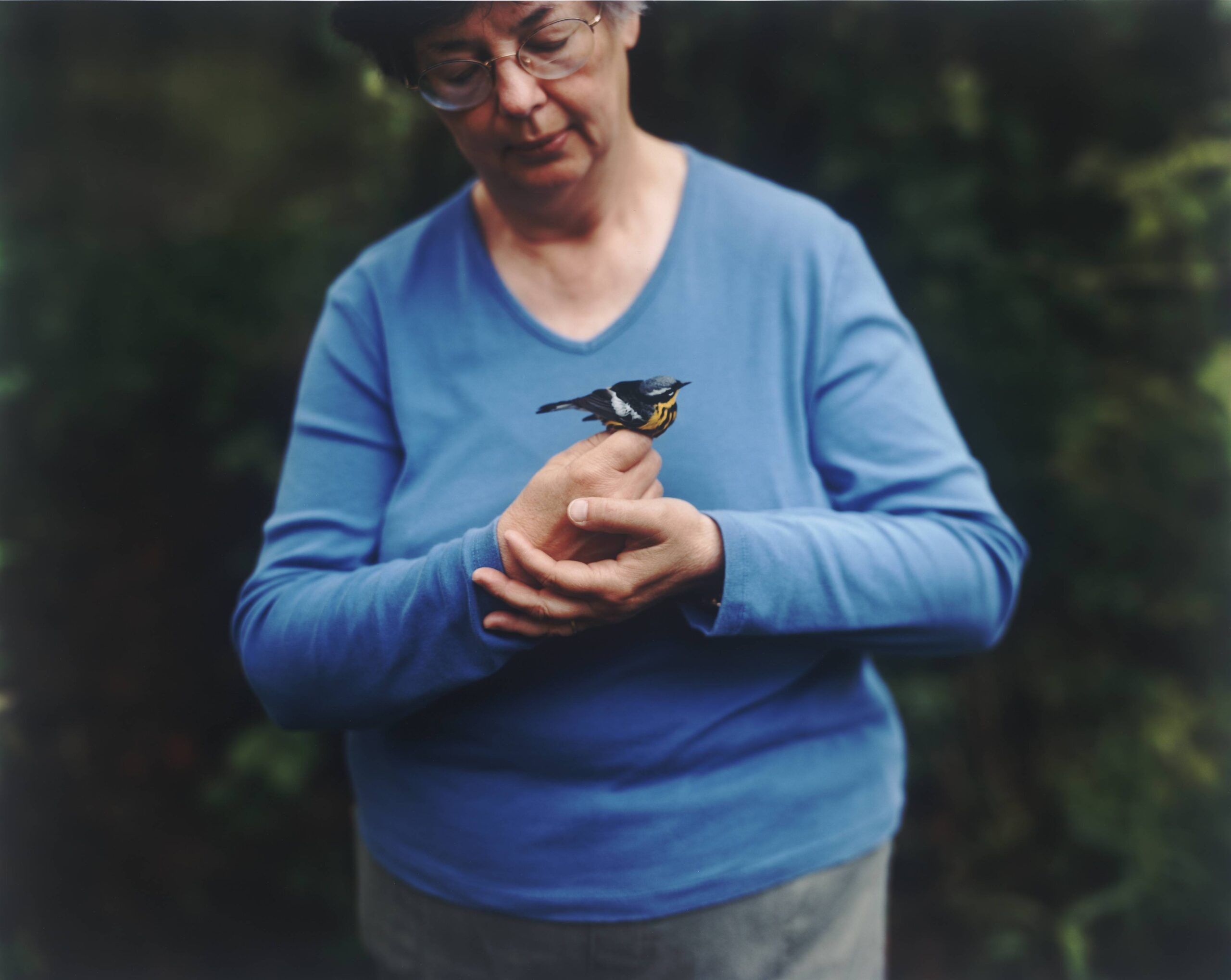 Magnolia warbler with Beth