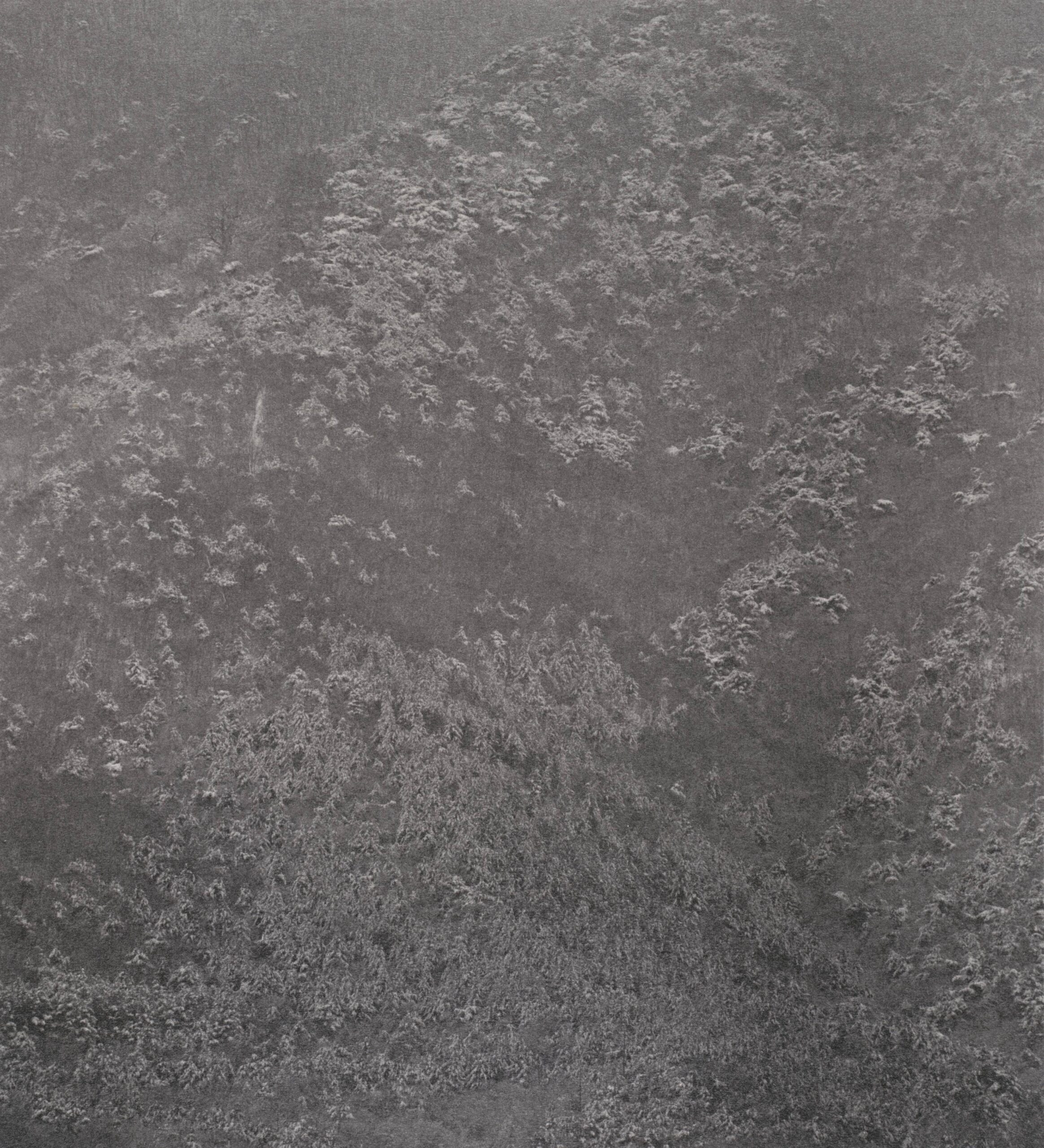 Untitled, from the series Gloom
