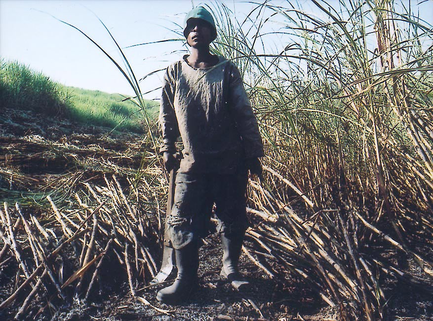 Untitled, from the series Sugar Cane