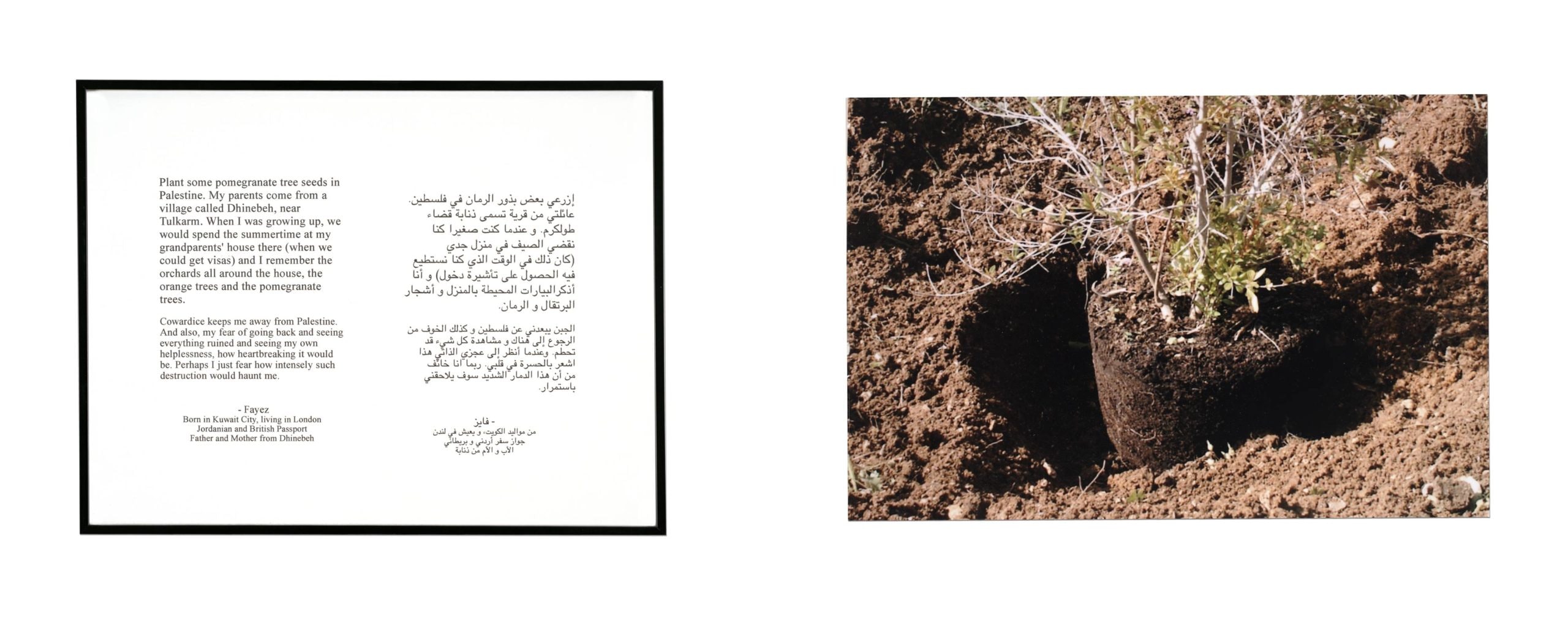 Where We Come From (Fayez)