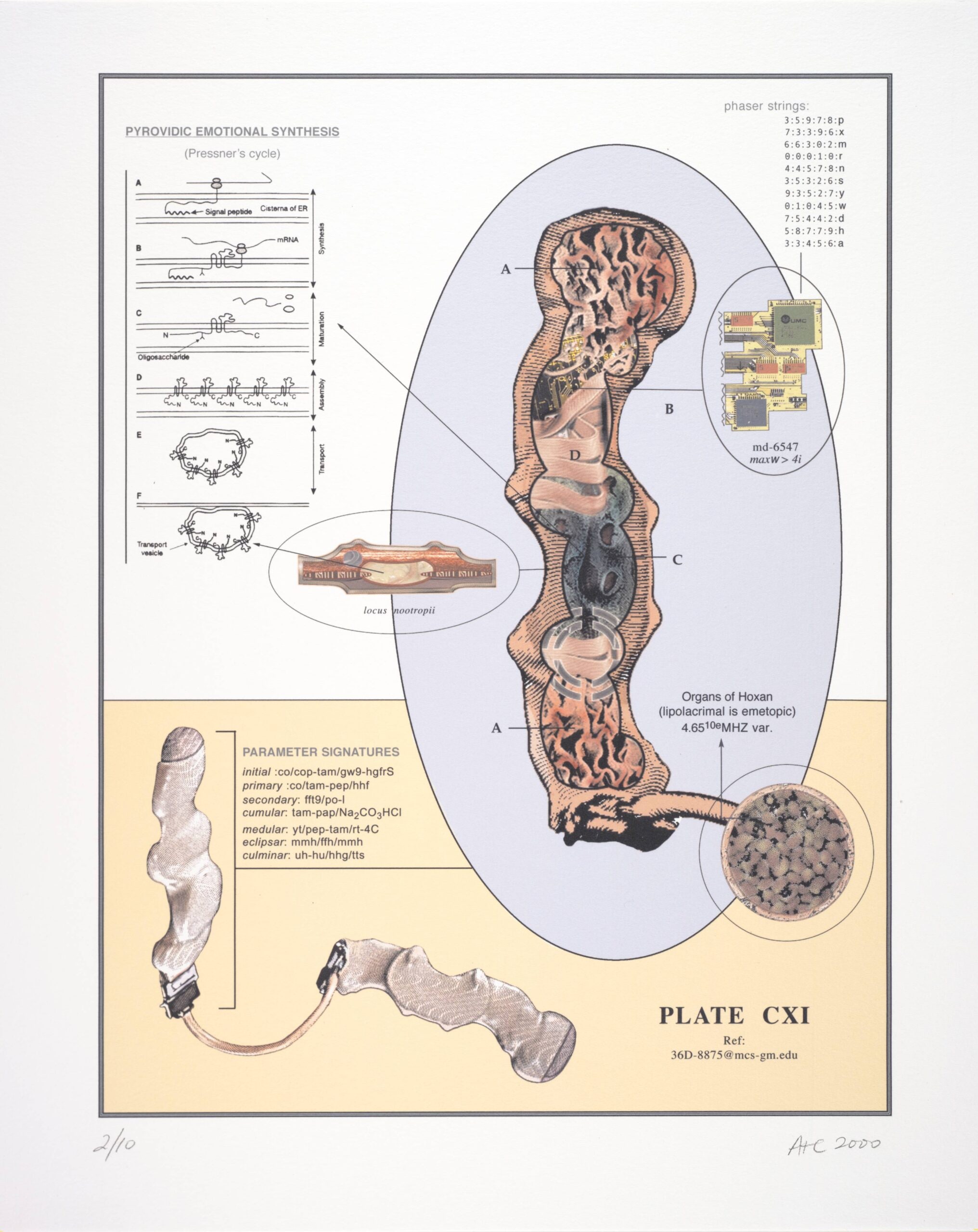 Plate CXI, from the series Naturalia
