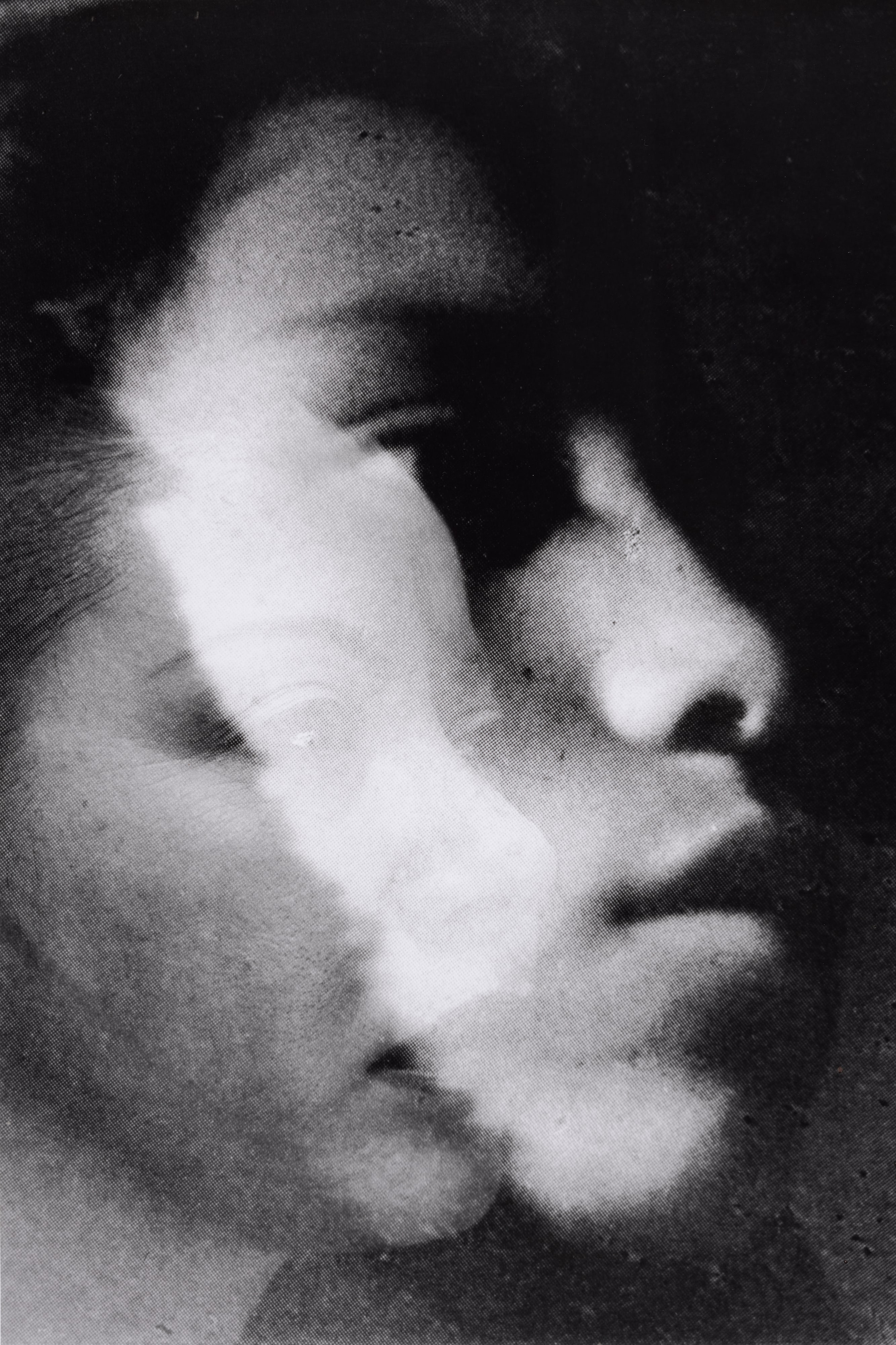 Untitled Multiple Exposure #1 (Figueroa)