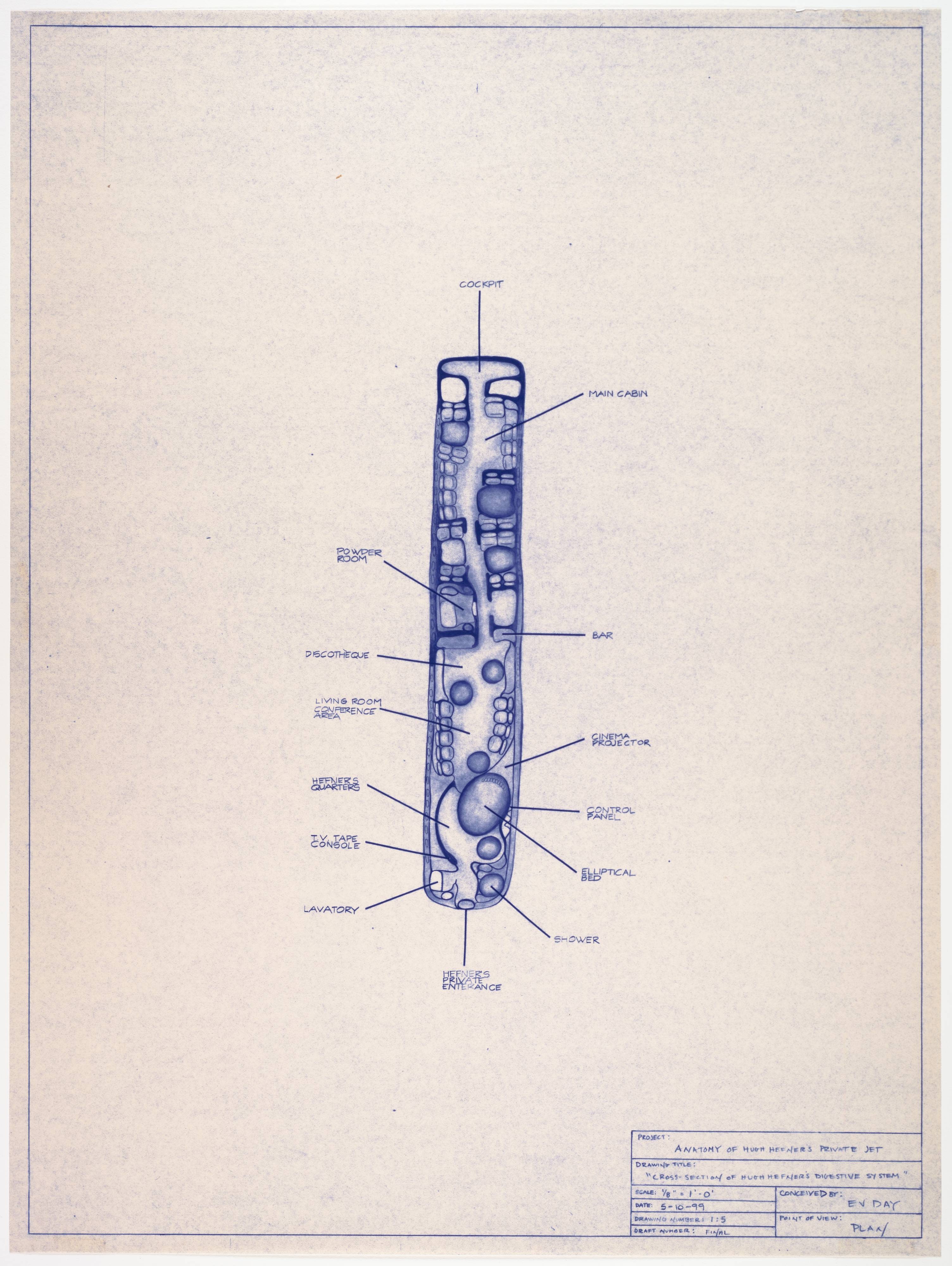 Cross-Section of Hugh Hefner's Digestive System