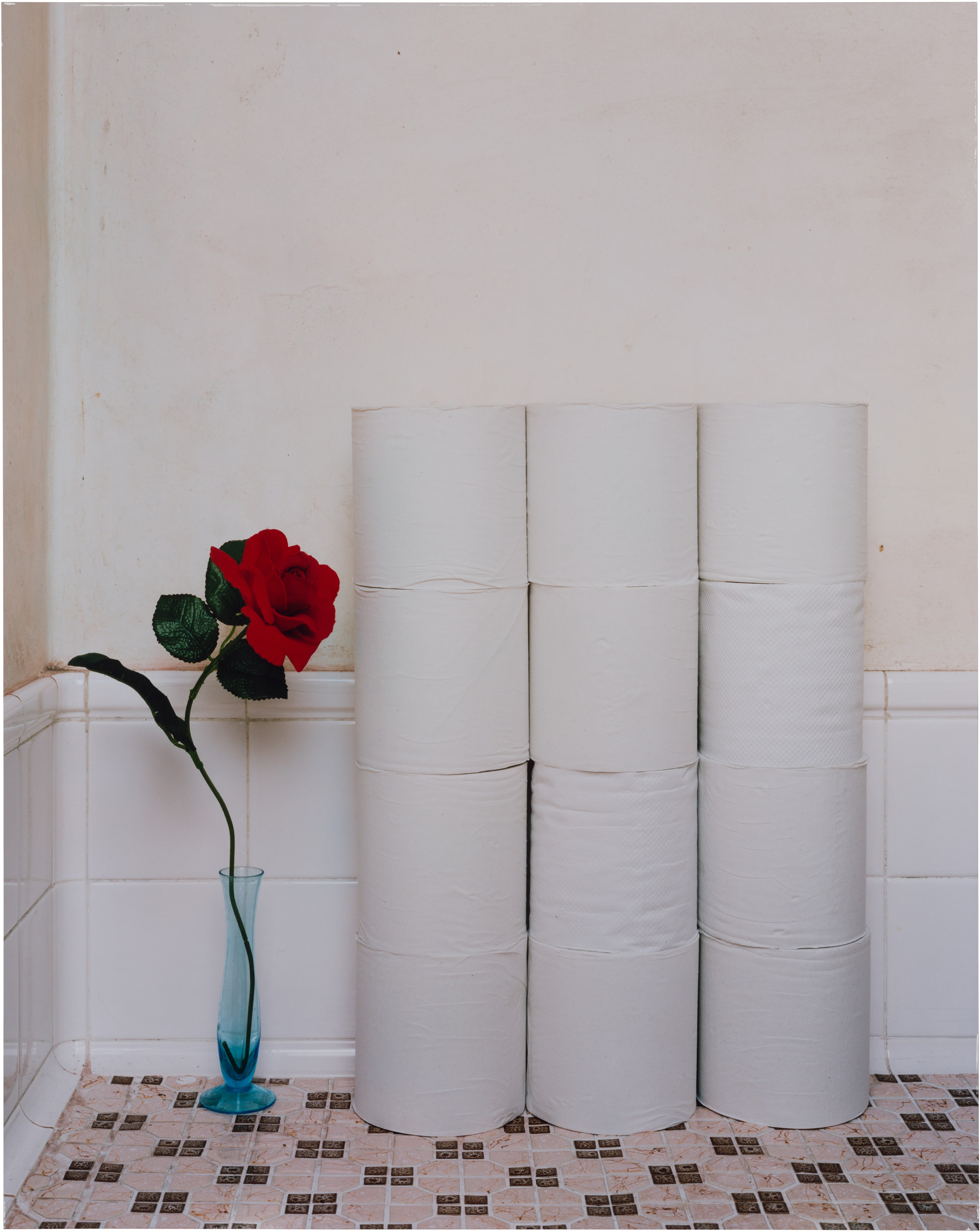 Rolls of Toilet Paper and a Plastic Flower, from the series Domestic Scandals